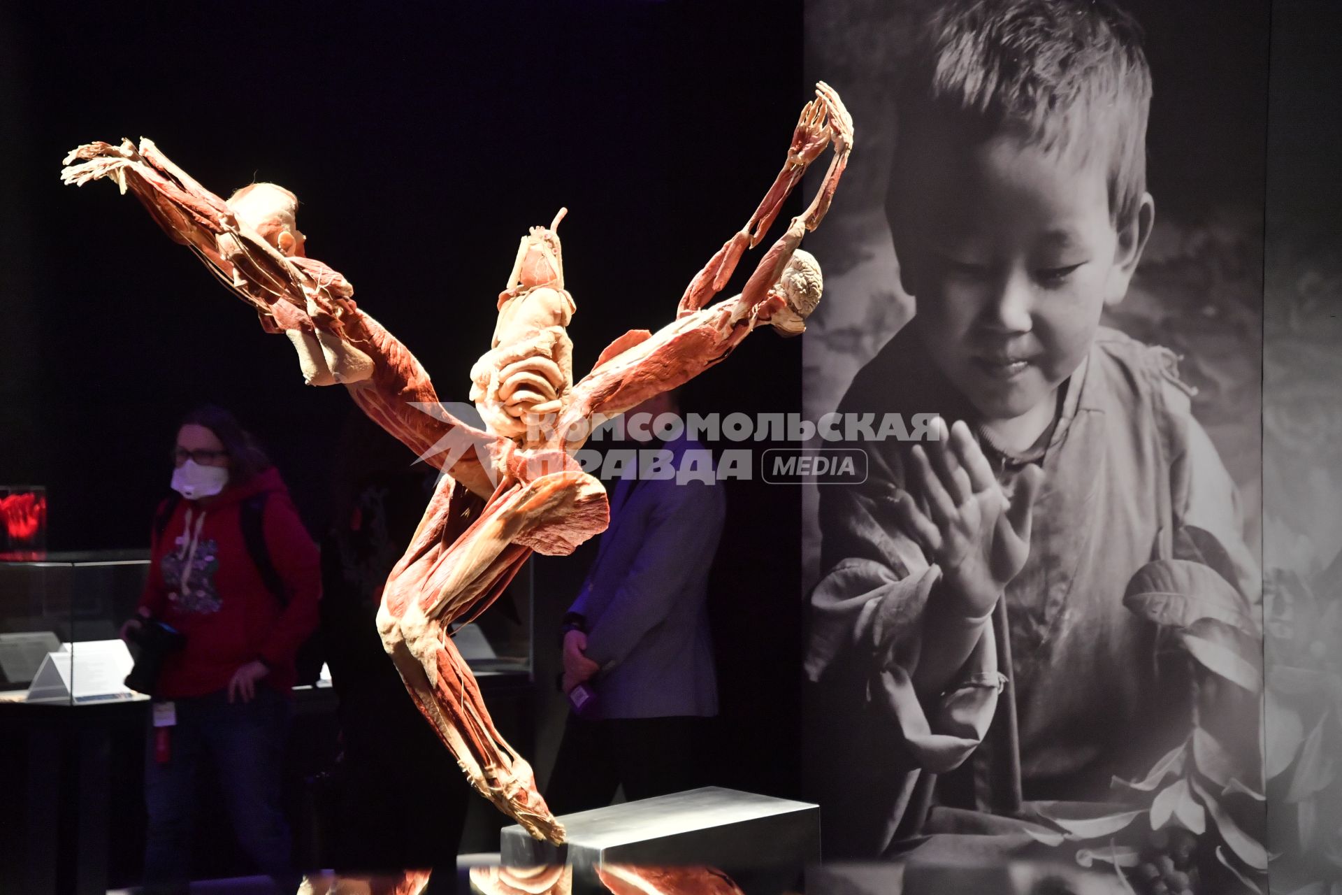 Москва.   анатомической выставке доктора Гюнтера фон Хагенса`Мир тела` (Body Worlds) на ВДНХ.