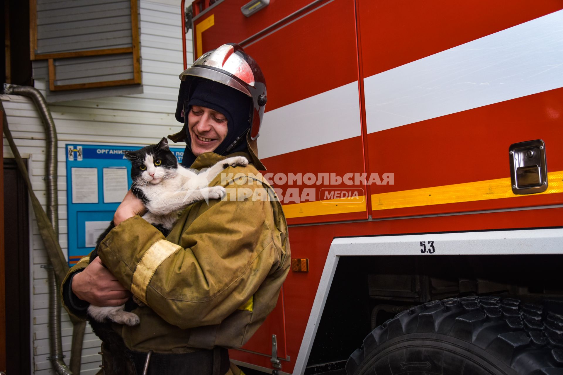 Новосибирская область, Мочище. Кот по кличке Гидрант, которого спасли новосибирские пожарные и приютили у себя в части #111.