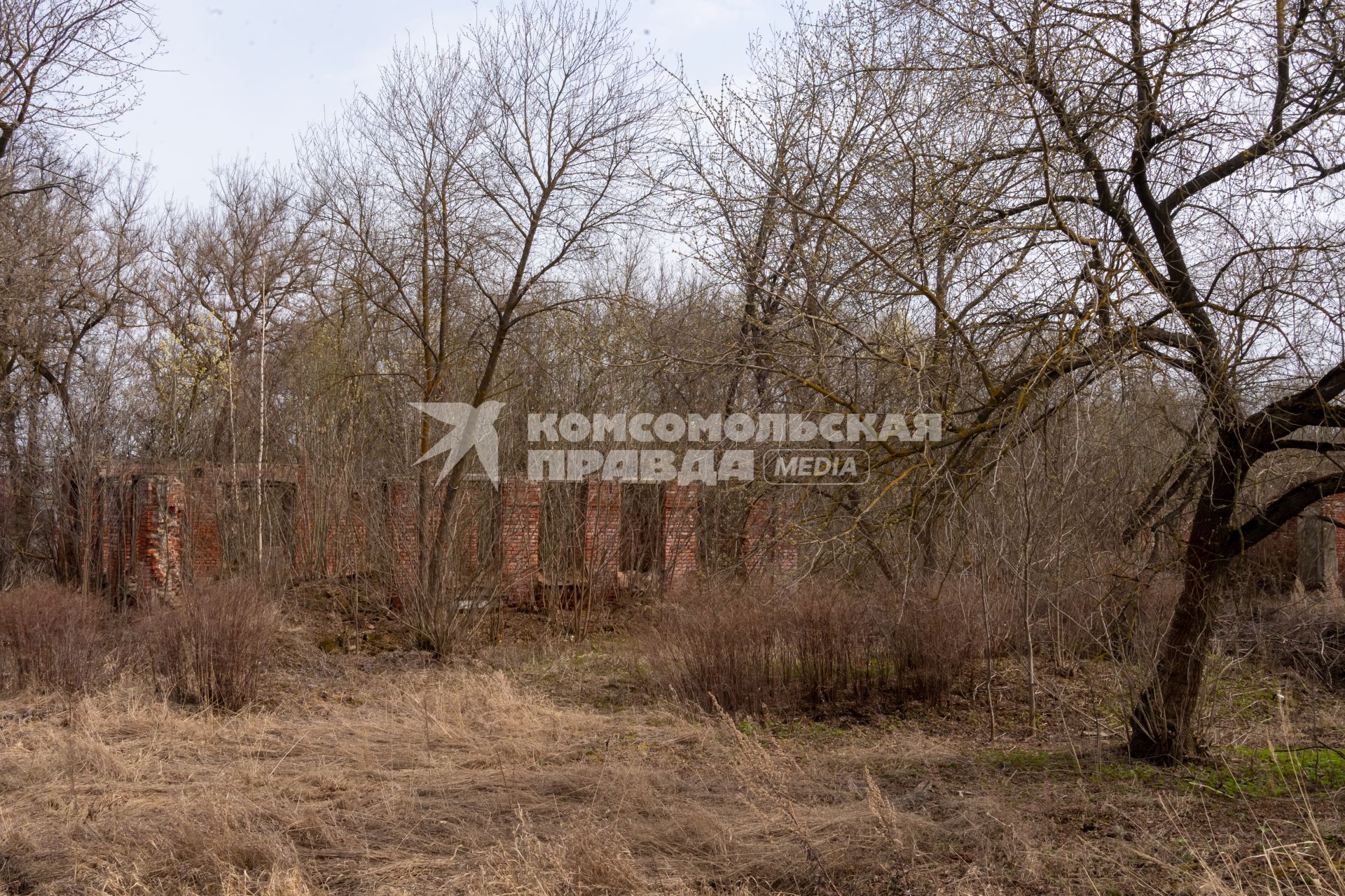 Московская облась, Домодедовский район. Вид  на развалины усадьбы Кузьминское.