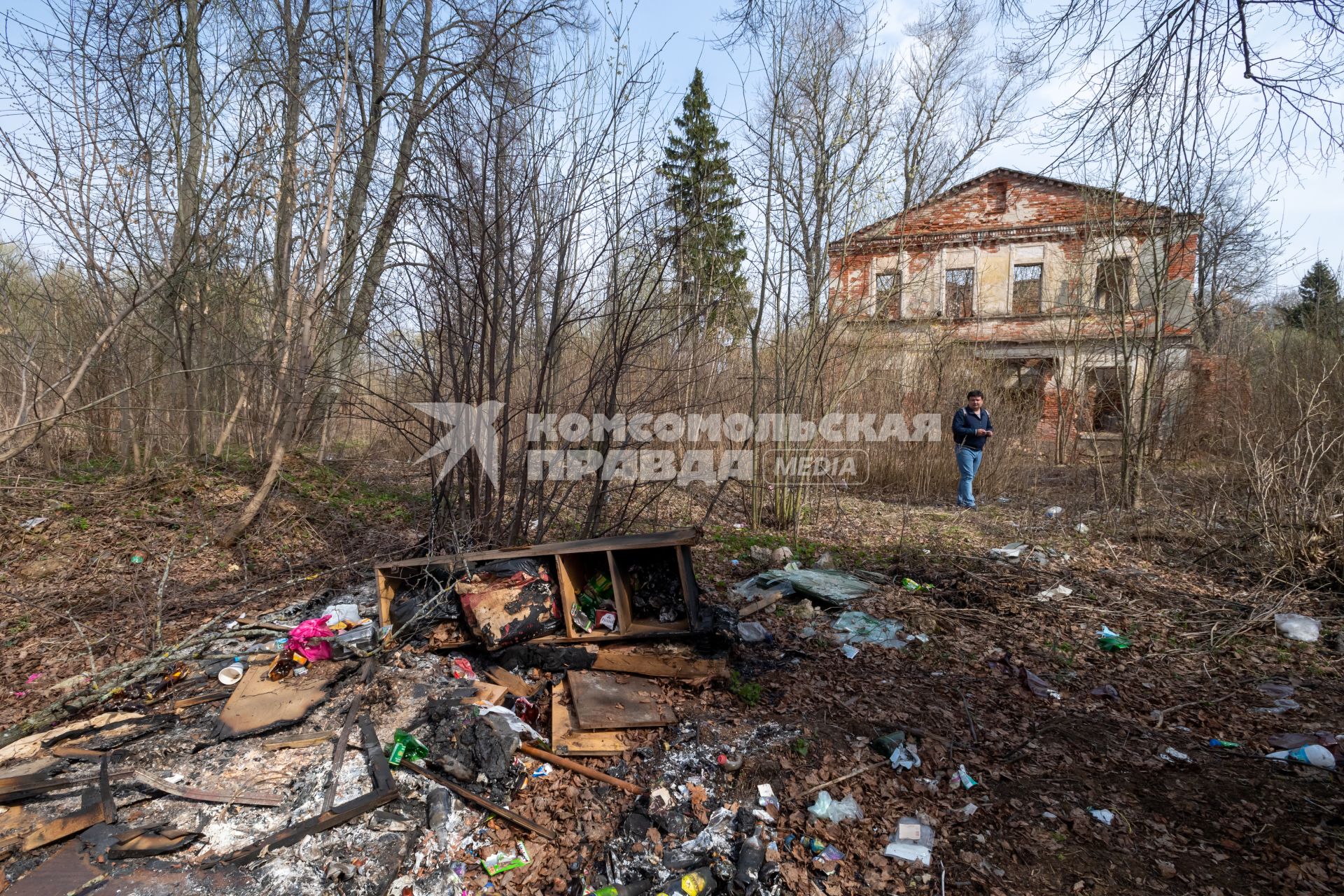 Московская облась, Домодедовский район. Вид  на развалины усадьбы Кузьминское.