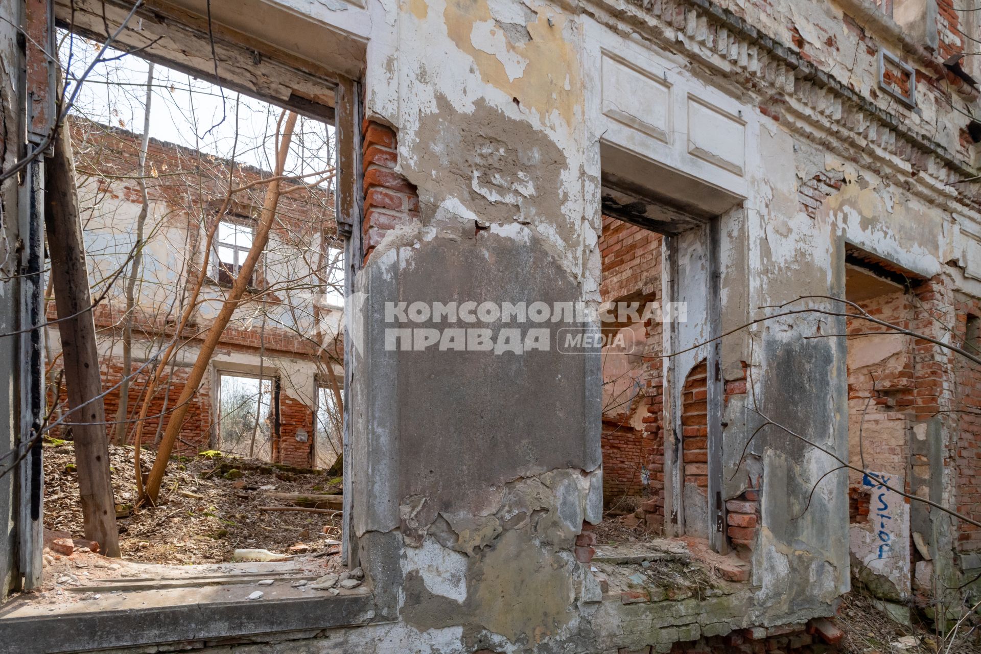 Московская облась, Домодедовский район. Вид на развалины усадьбы Кузьминское.