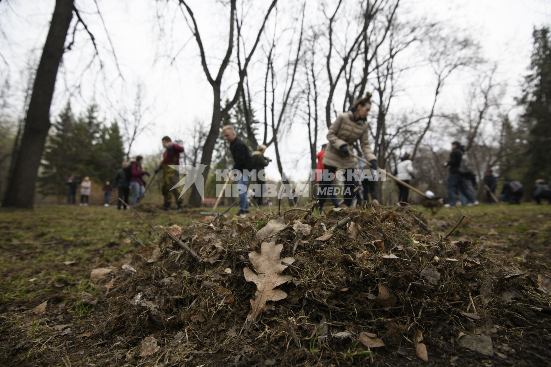 Екатеринбург. Сотрудники администрации города Екатеринбурга вышли на общегородской субботник в Дендрологический парк