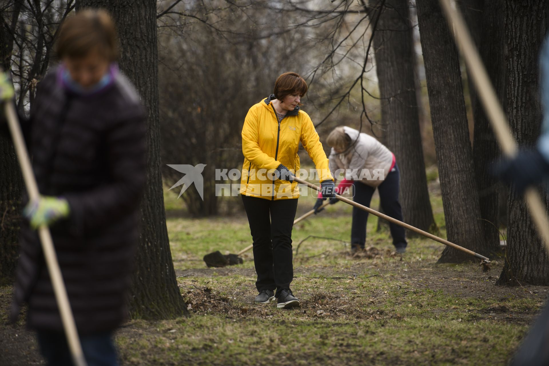 Екатеринбург. Сотрудники администрации города Екатеринбурга вышли на общегородской субботник в Дендрологический парк