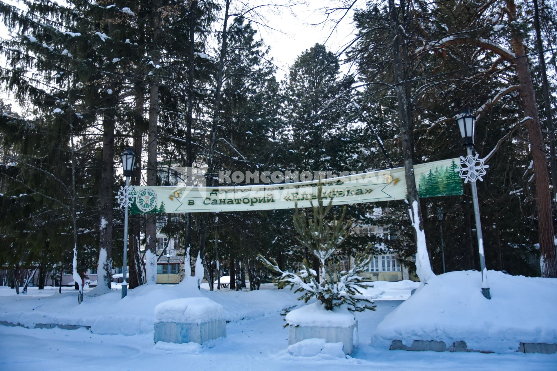 Новосибирск. Территория военного санатория `Ельцовка`.