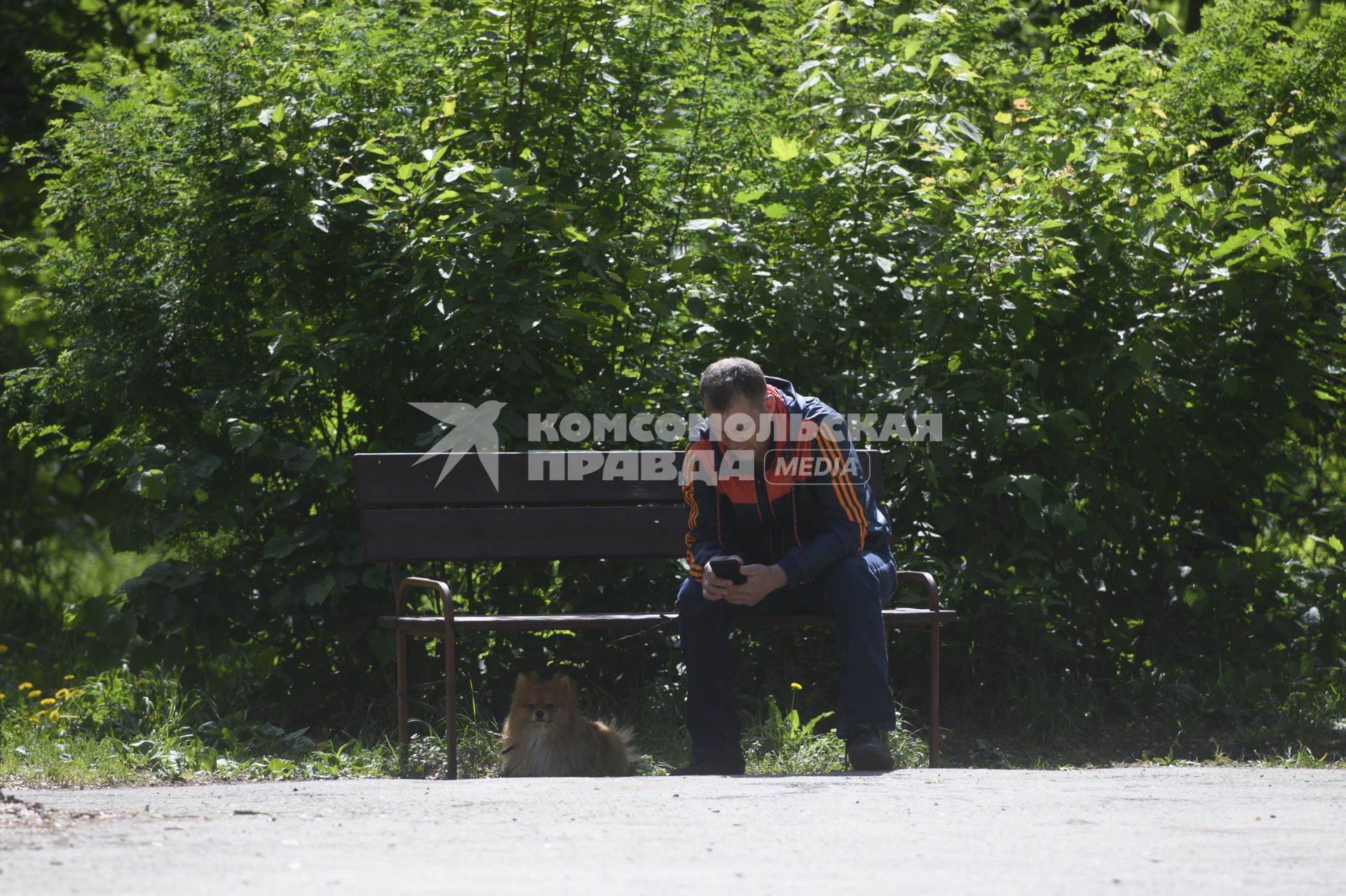 Екатеринбург. Мужчина с собакой гуляет в парке