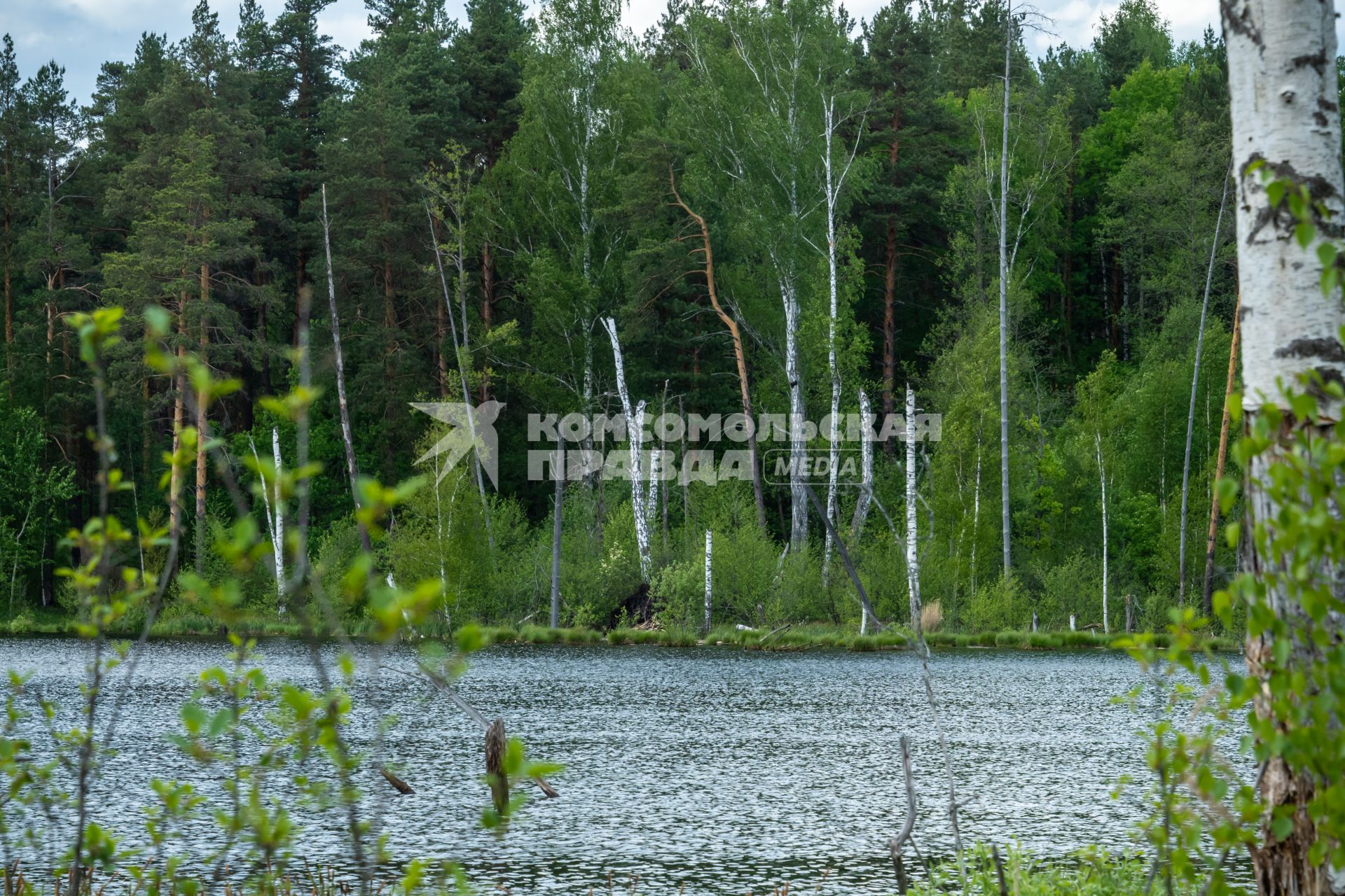 Московская область.  Вид на озеро Смердячье в Шатурском районе.