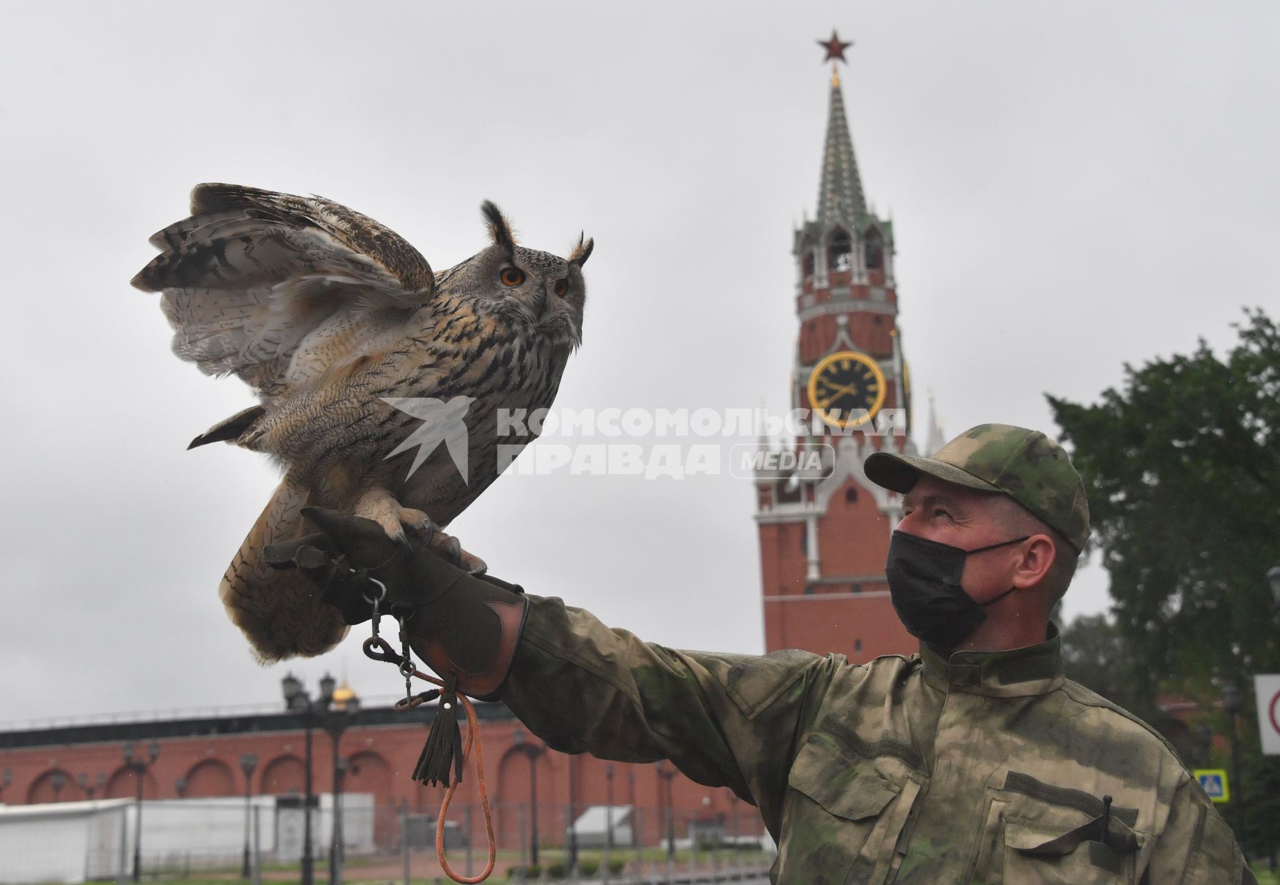 Москва. Сотрудник орнитологической службы с филином Филей на территории Московского Кремля.