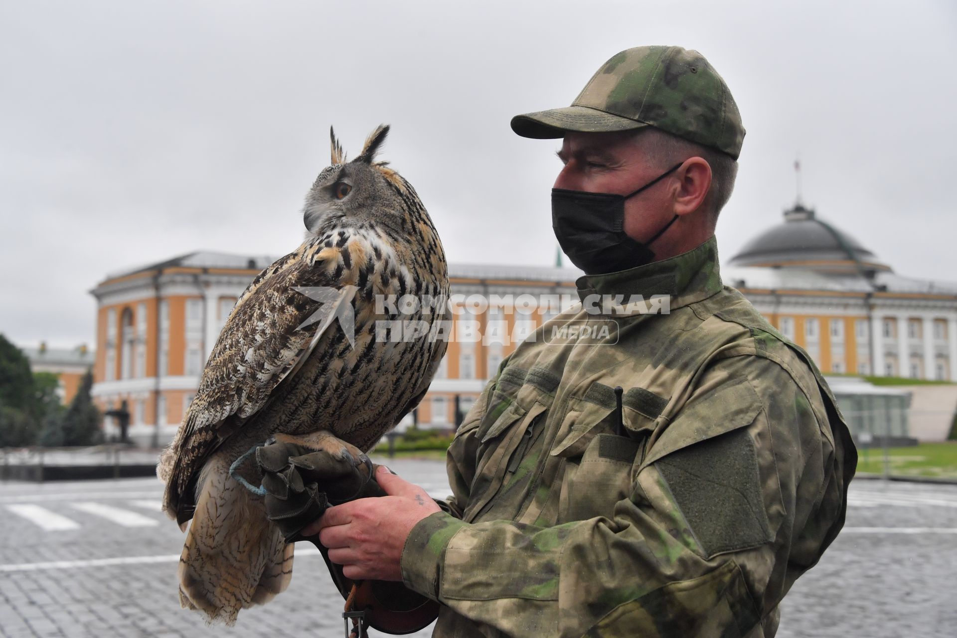 Москва. Сотрудник орнитологической службы с филином Филей на территории Московского Кремля.