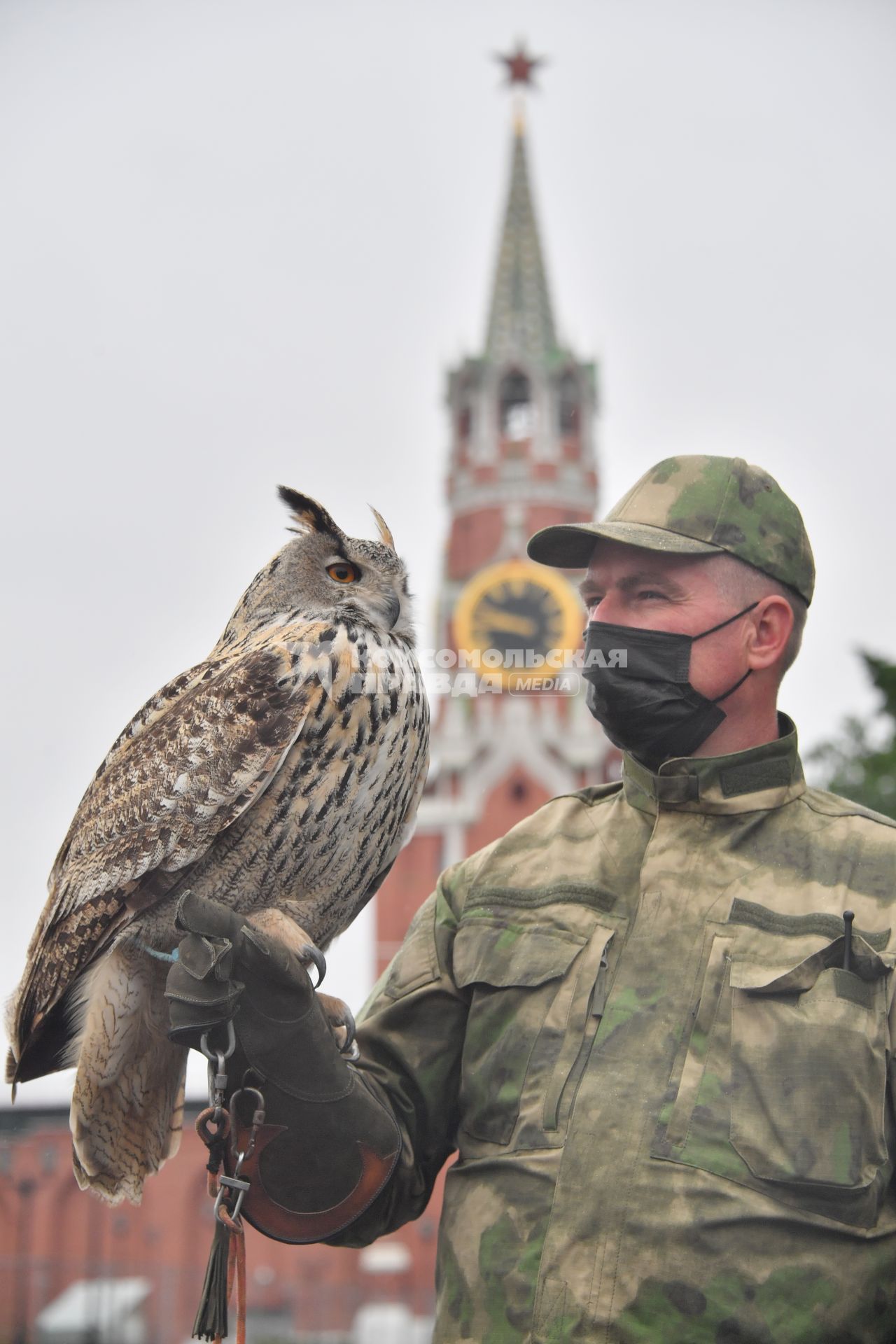 Москва. Сотрудник орнитологической службы с филином Филей на территории Московского Кремля.