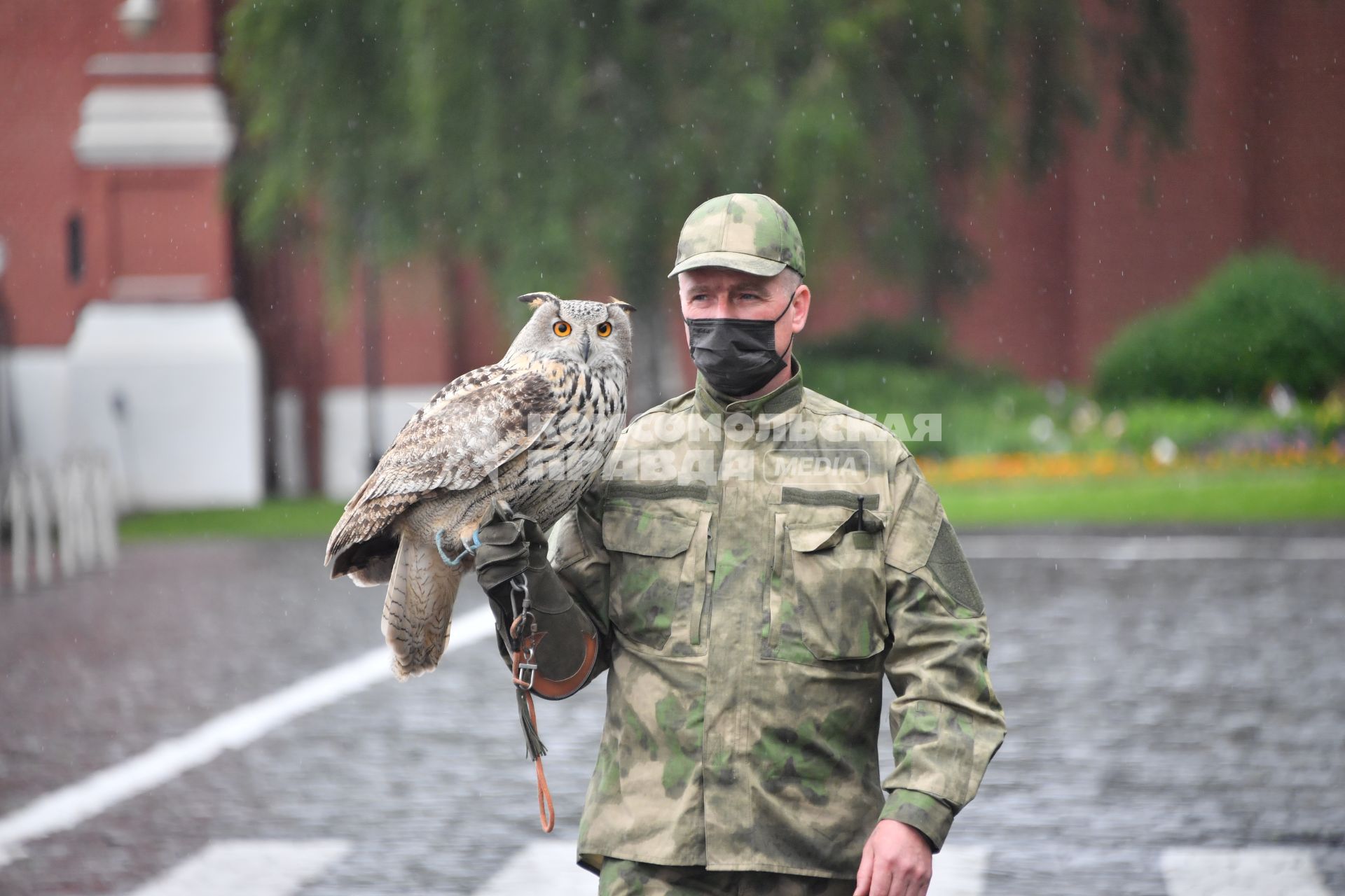 Москва. Сотрудник орнитологической службы с филином Филей на территории Московского Кремля.