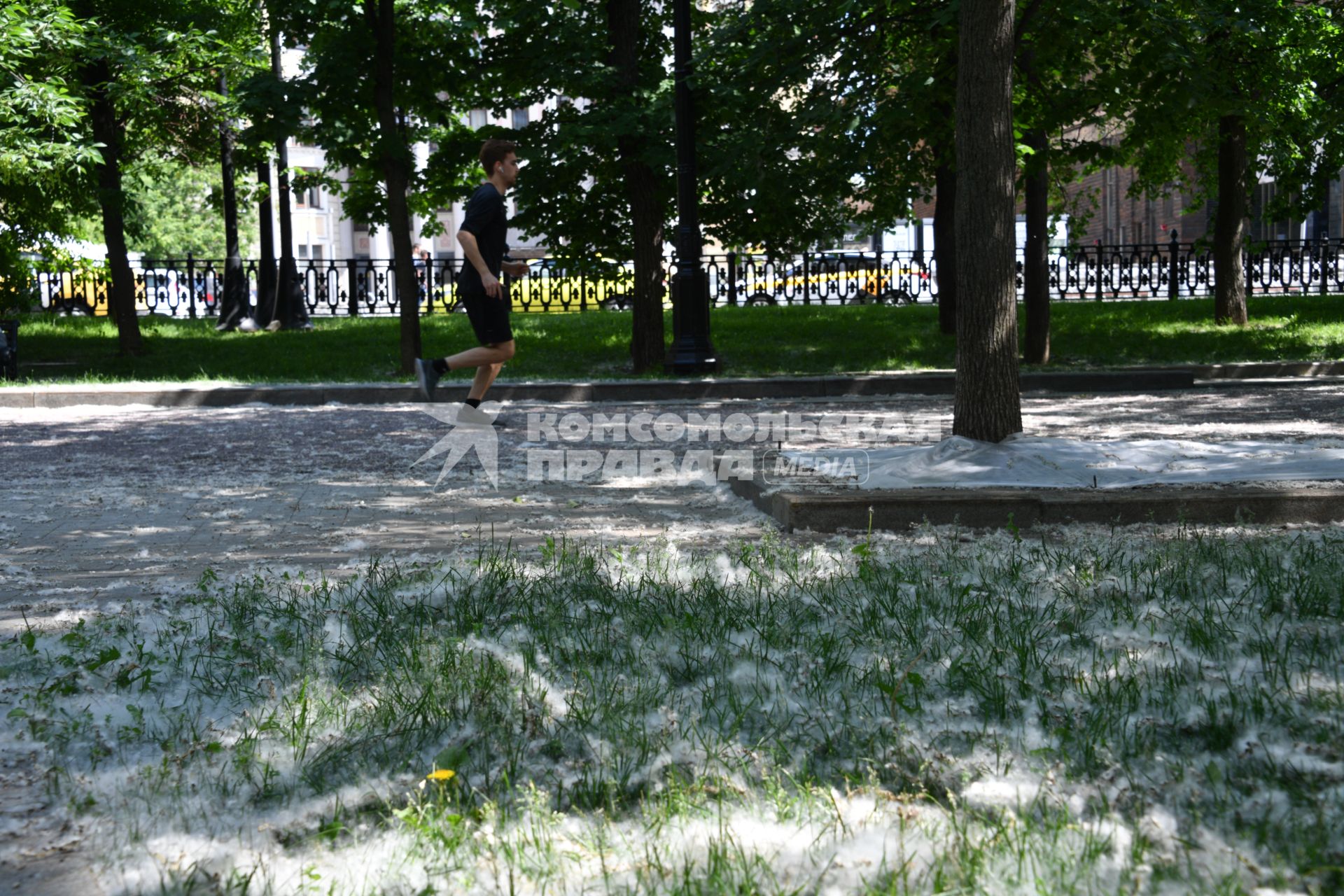 Москва. Земля покрыта тополиным пухом.