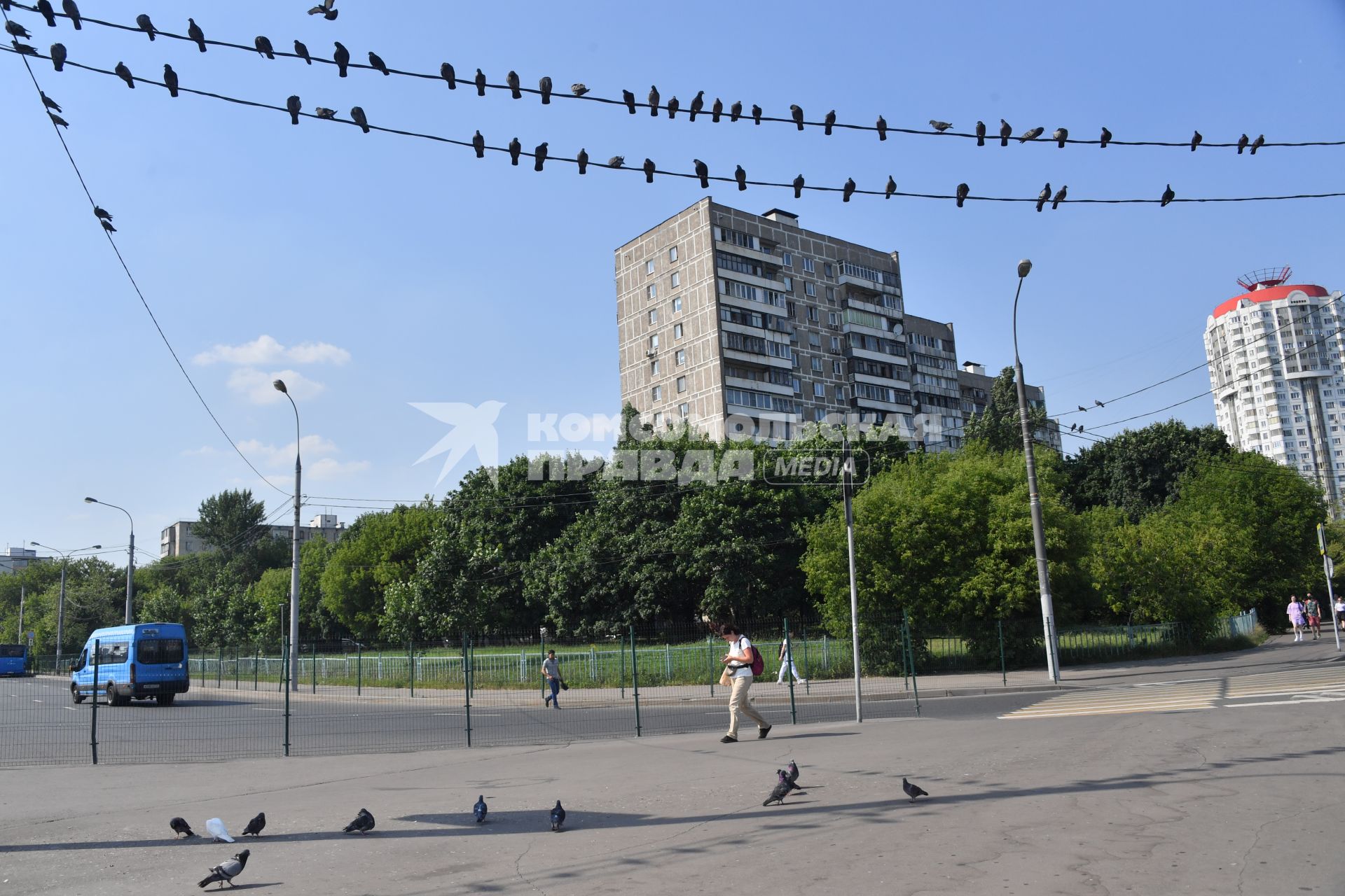 Москва. Голуби сидят на проводах.