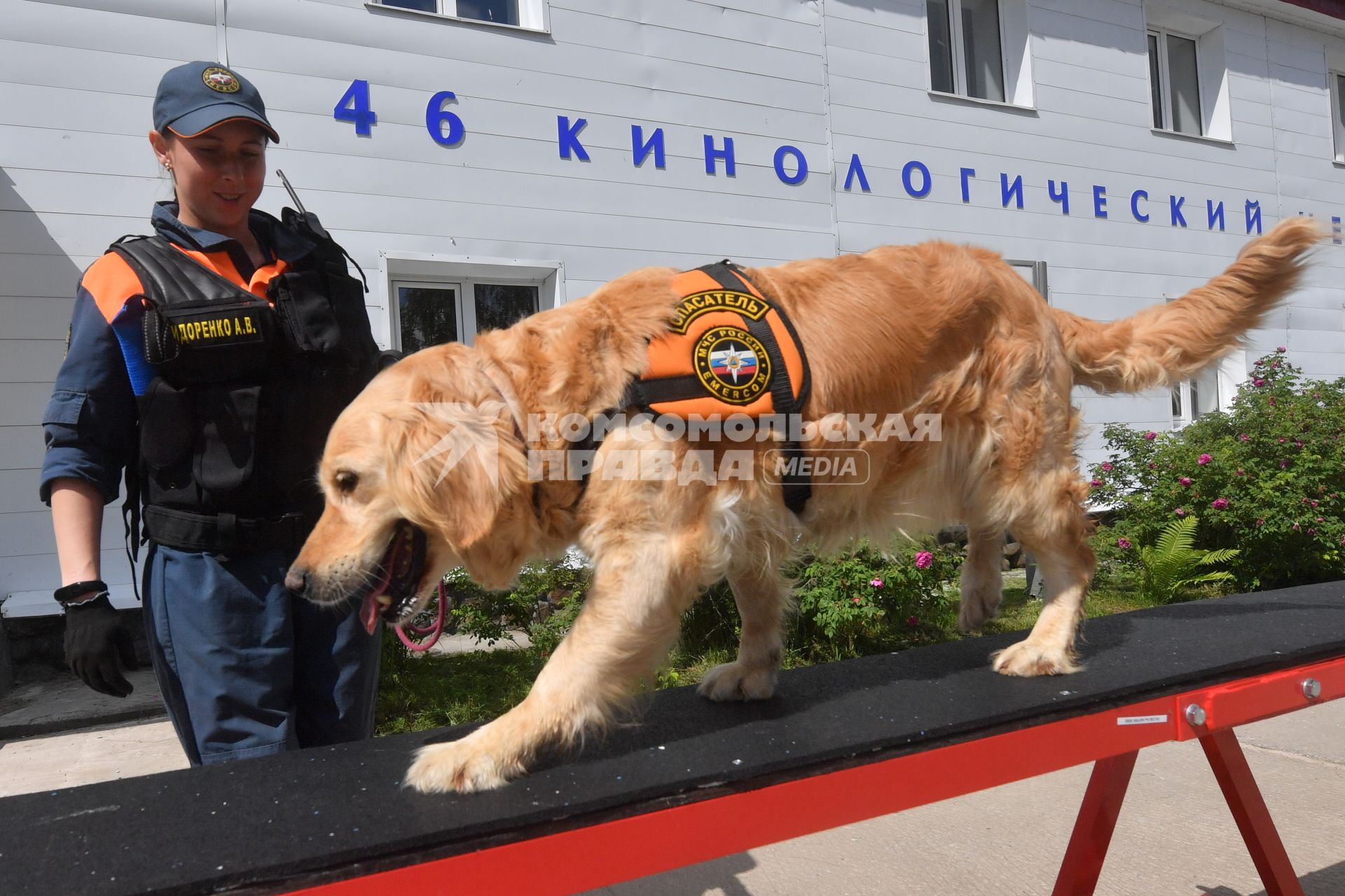 Московская область. г.Ногинск. 46 Кинологический центр, входящий с состав 179 спасательного центра МЧС РФ.