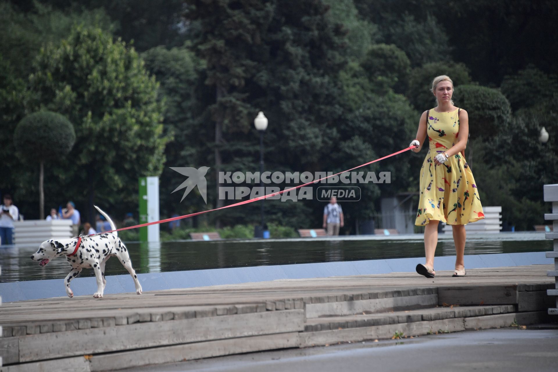 Москва. Девушка с собакой породы далматинец во время прогулки на ВДНХ.