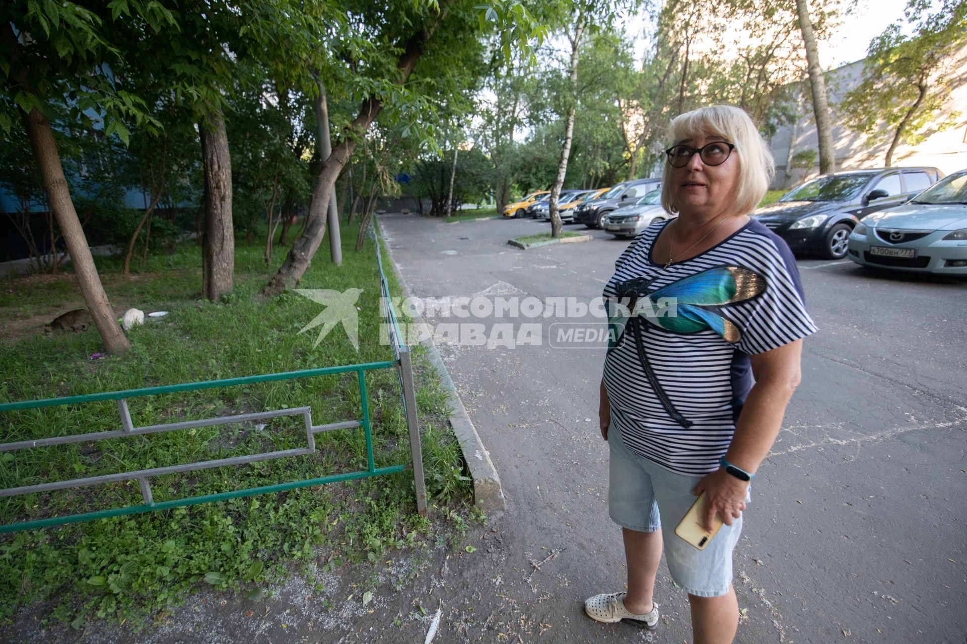 Москва. Волонтер Елена Халюк занимается переписью бездомных котов и кошек.