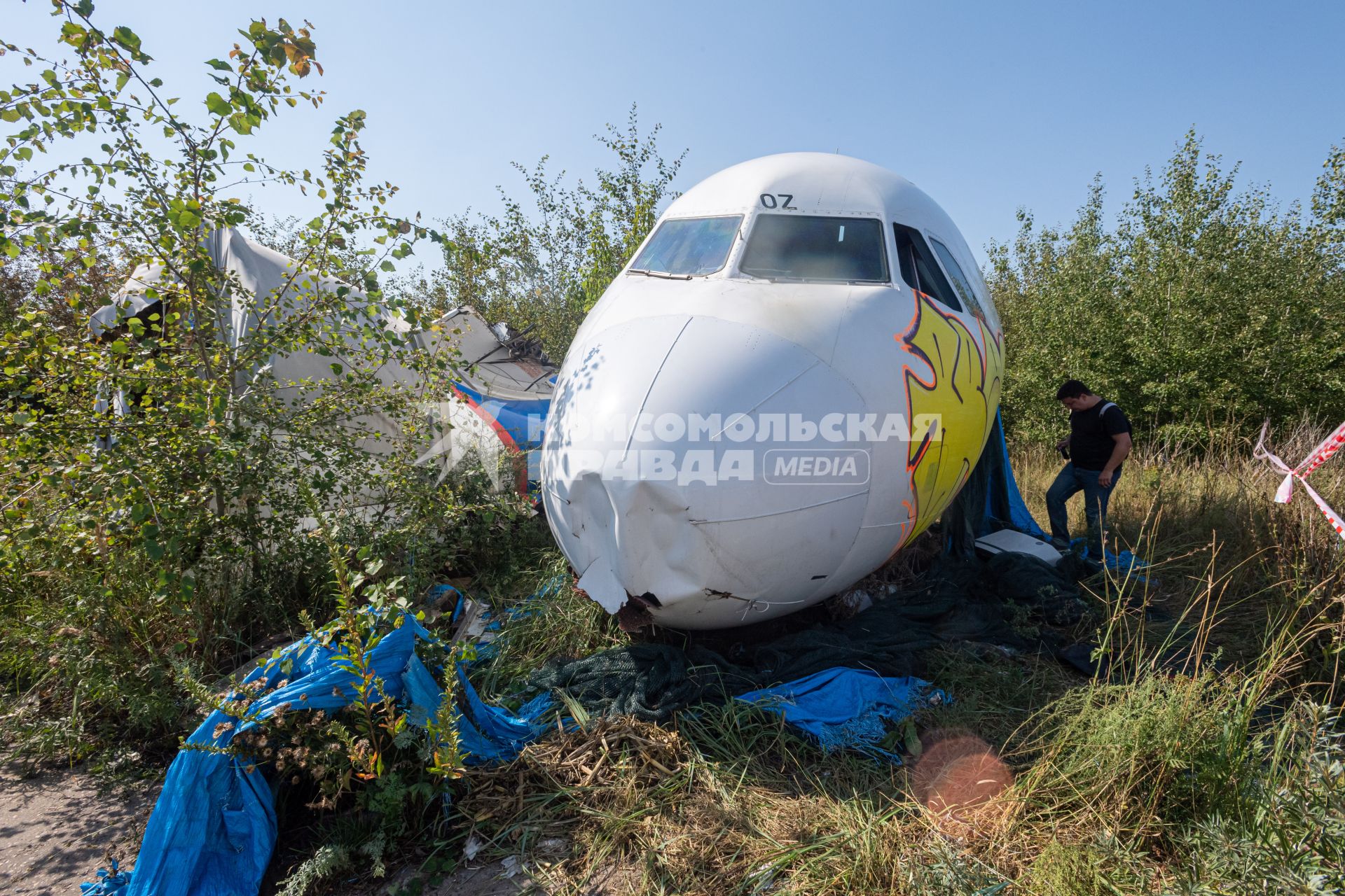 Московская область.  Обломки лайнера  A-321-211 бортовой номер VQ-BOZ, авиакомпания -  Уральские авиалинии, совершившего аварийную посадку под Жуковским на кукурузном поле, брошен  рядом с аэропортом Жуковский.