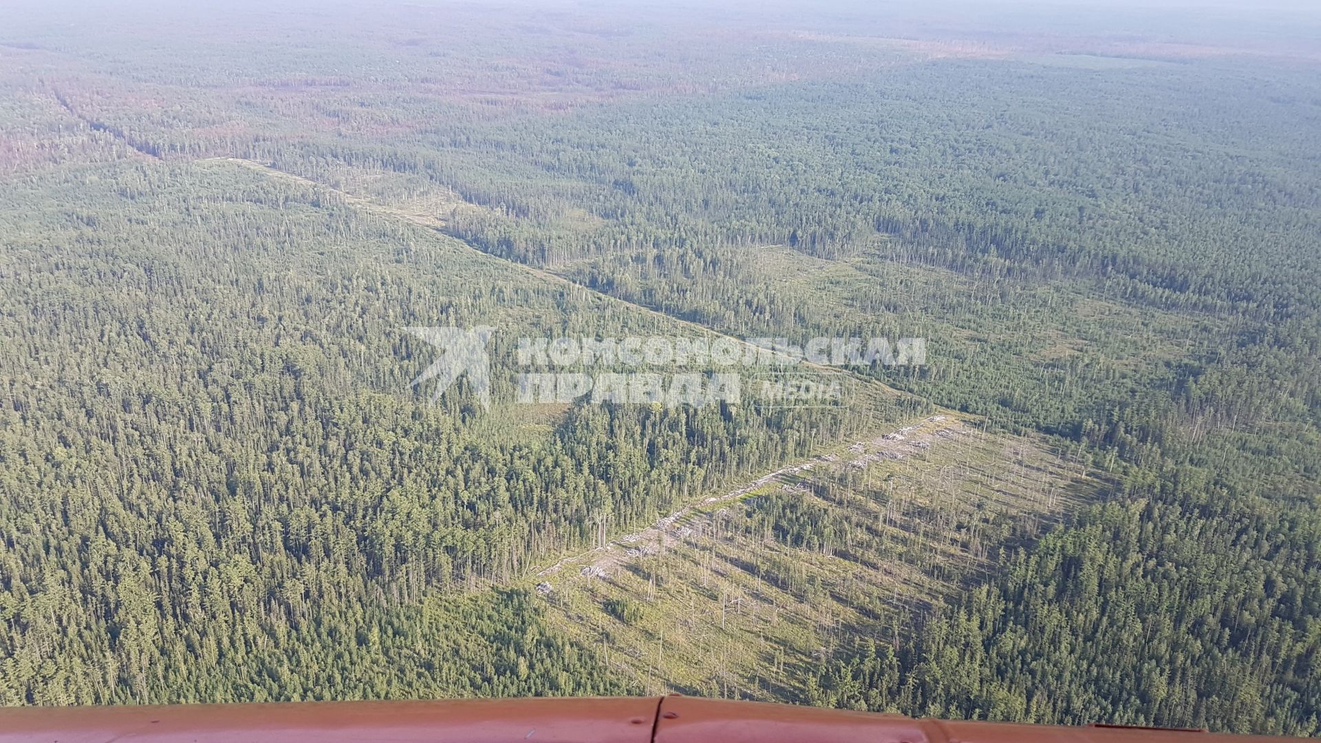 Красноярский край. Вид с вертолета на лес.