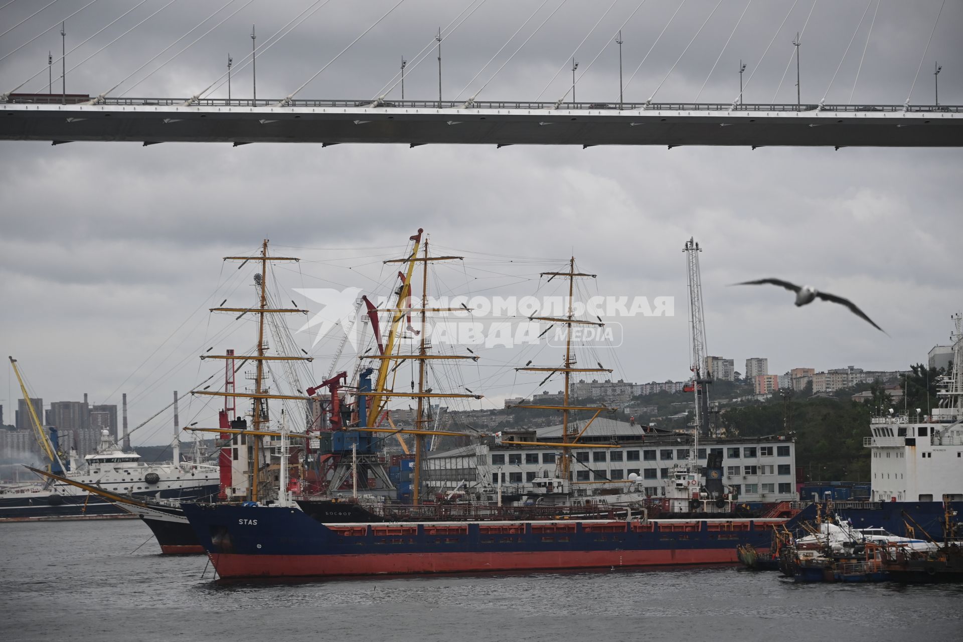 Владивосток. Морское судно Stas в морском порту.