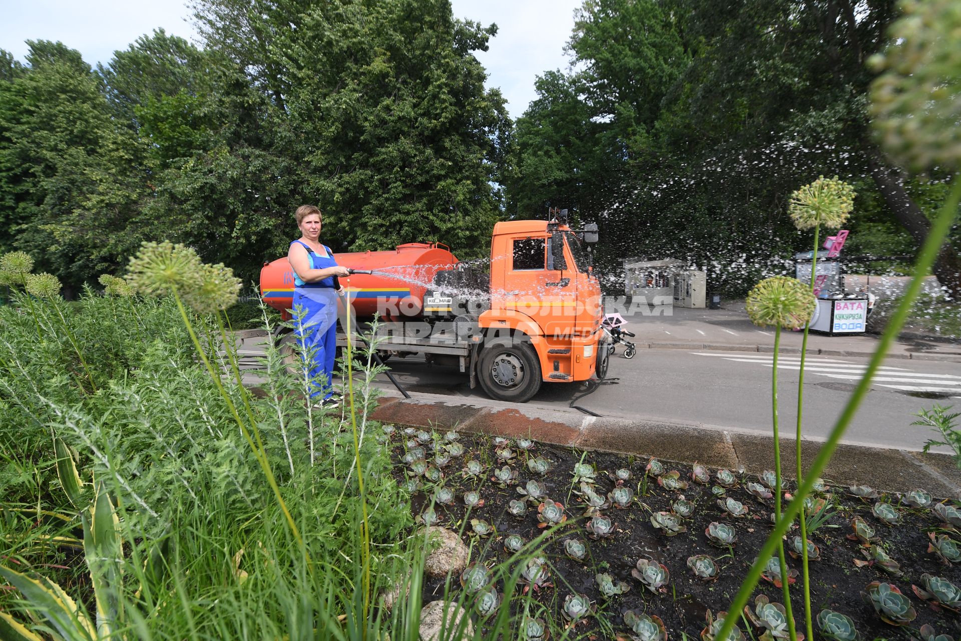 Москва. Женщина поливает из шланга газон.