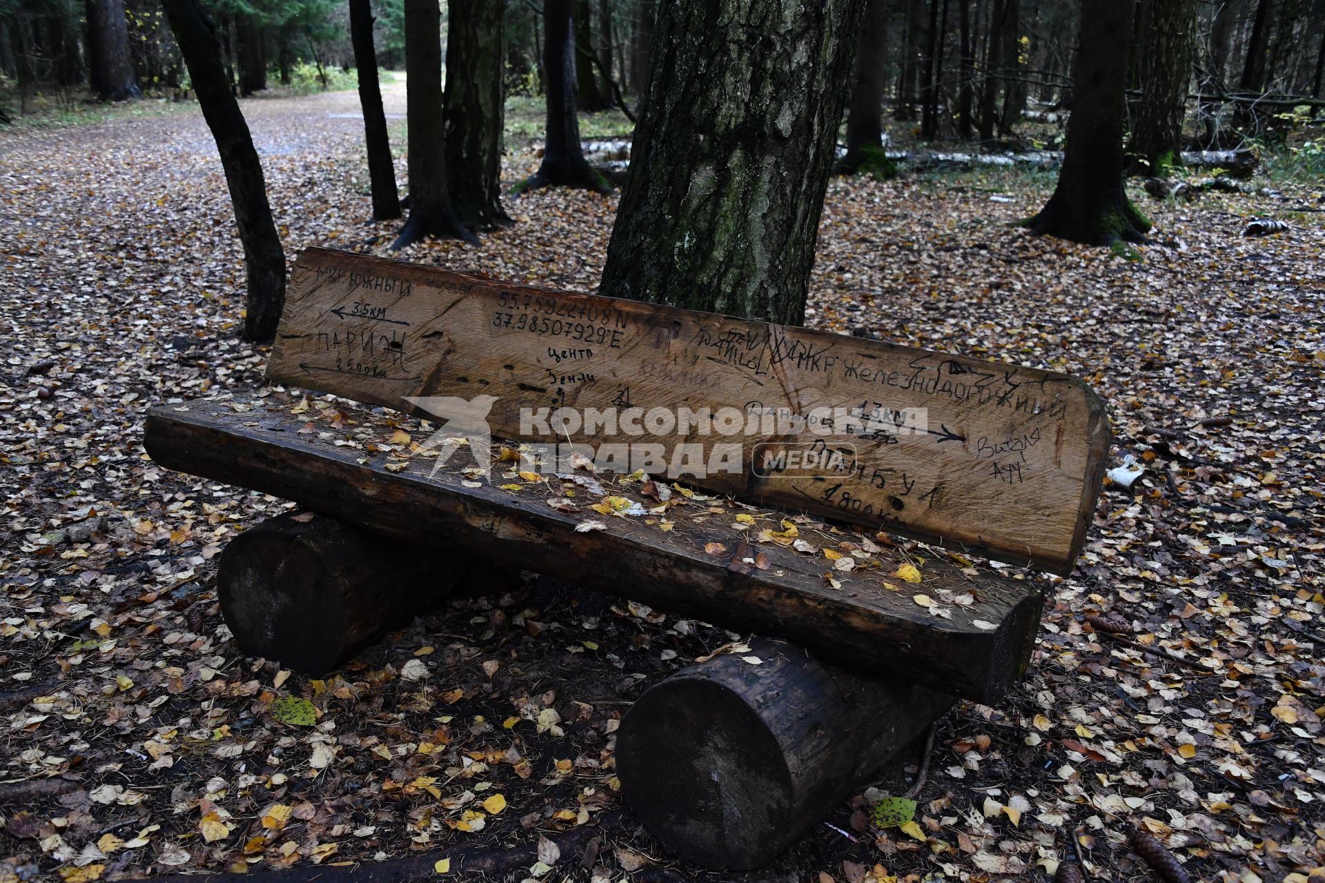 Московская область.  Скамейка в парке.