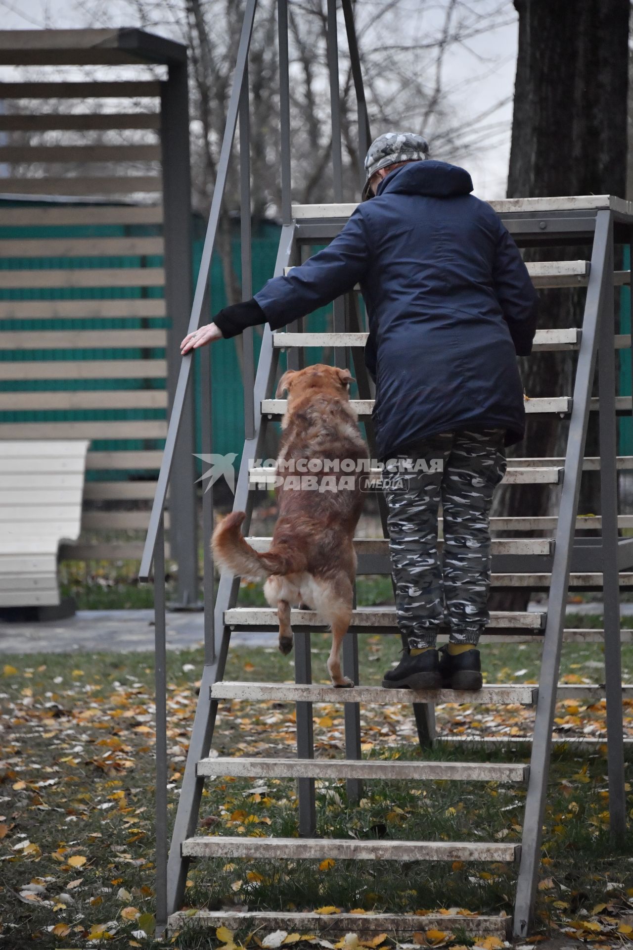 Москва. Женщина гуляет с собакой на кинологической площадке.