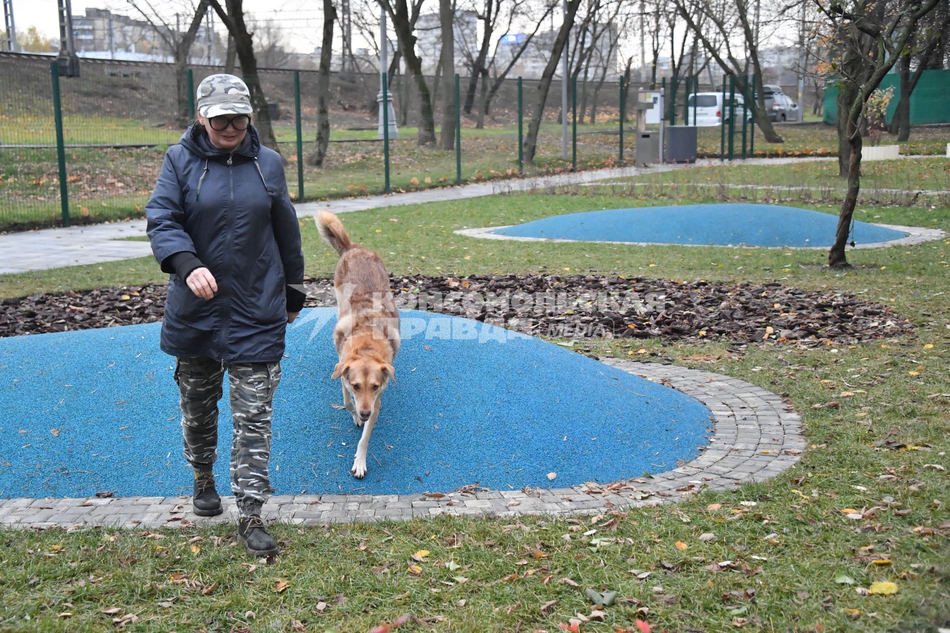 Москва. Женщина гуляет с собакой на кинологической площадке.