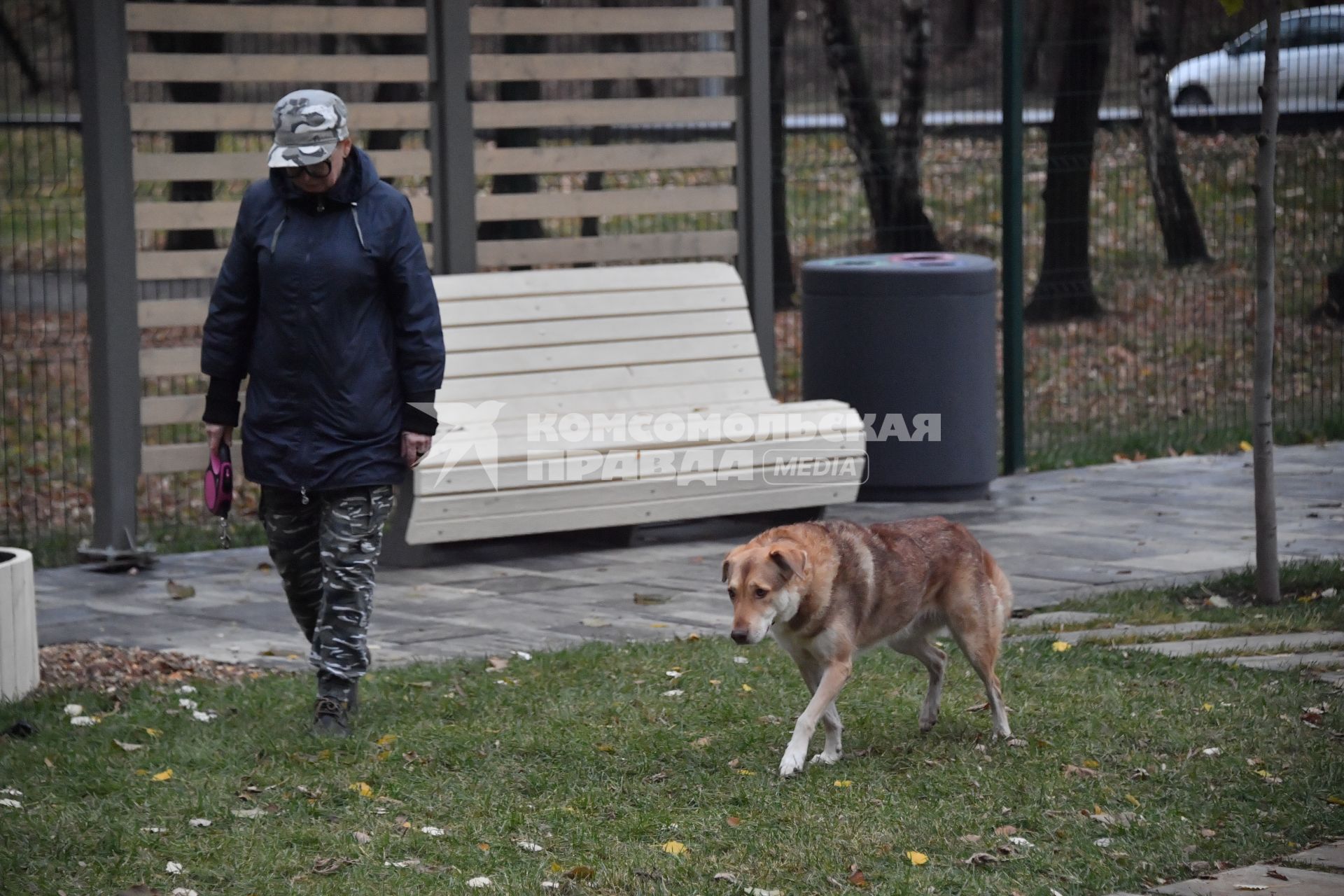 Москва. Женщина гуляет с собакой на кинологической площадке.