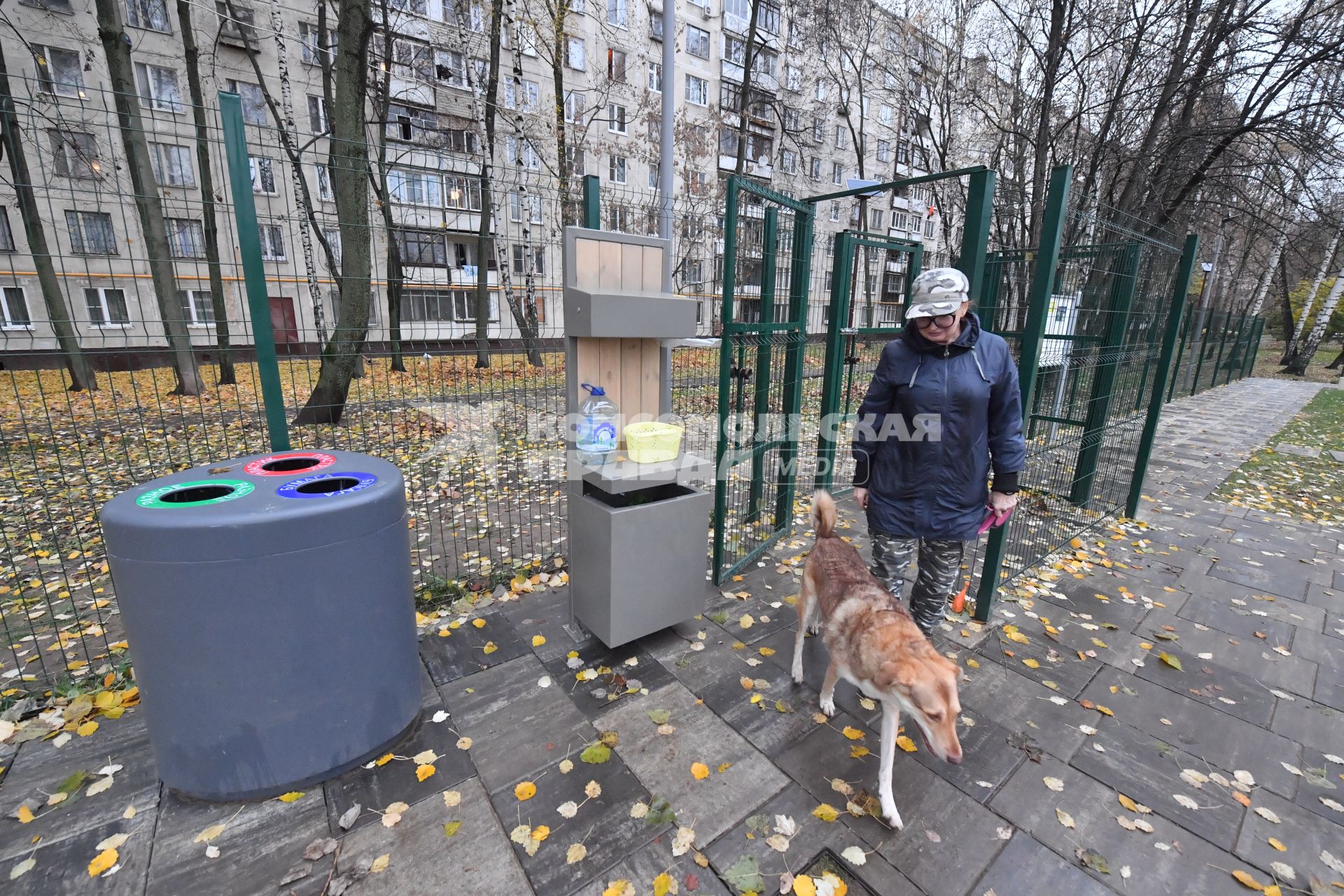 Москва. Женщина гуляет с собакой на кинологической площадке.