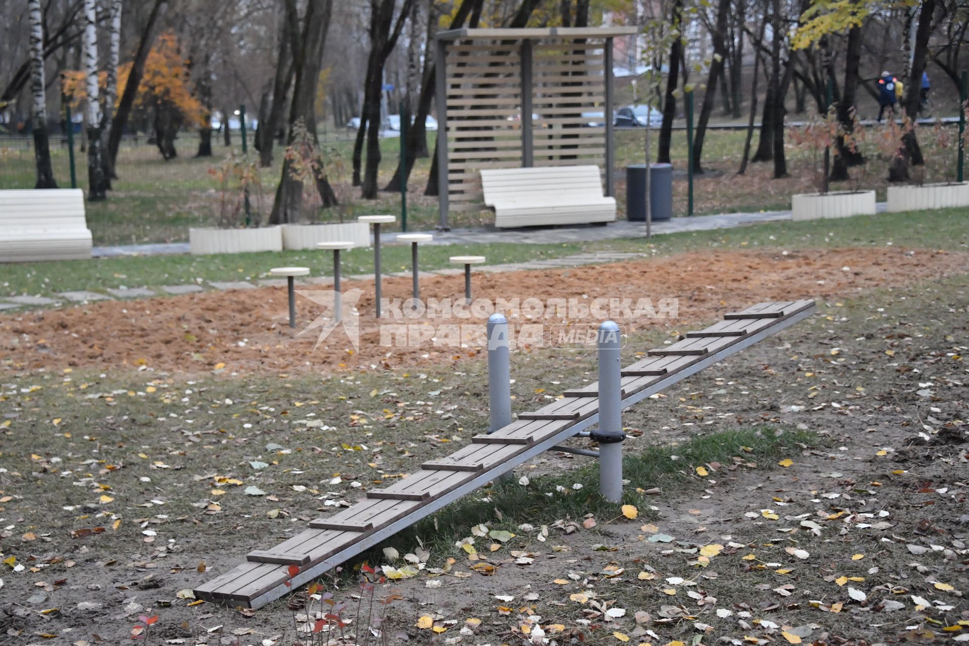 Москва. Вид на кинологическую площадку.