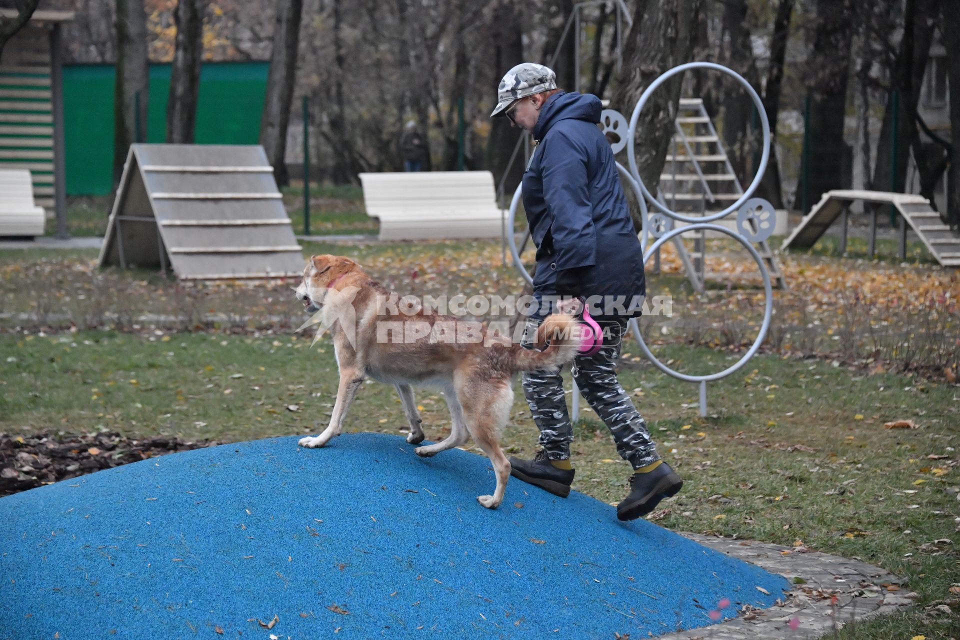 Москва. Женщина гуляет с собакой на кинологической площадке.