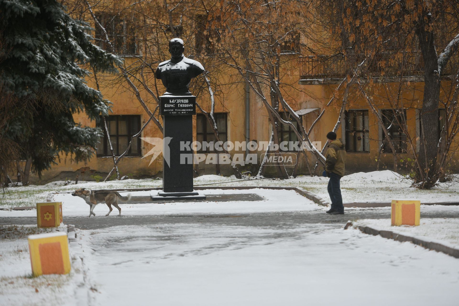 Екатеринбург. Мужчина гуляет с собакой во время первого снега