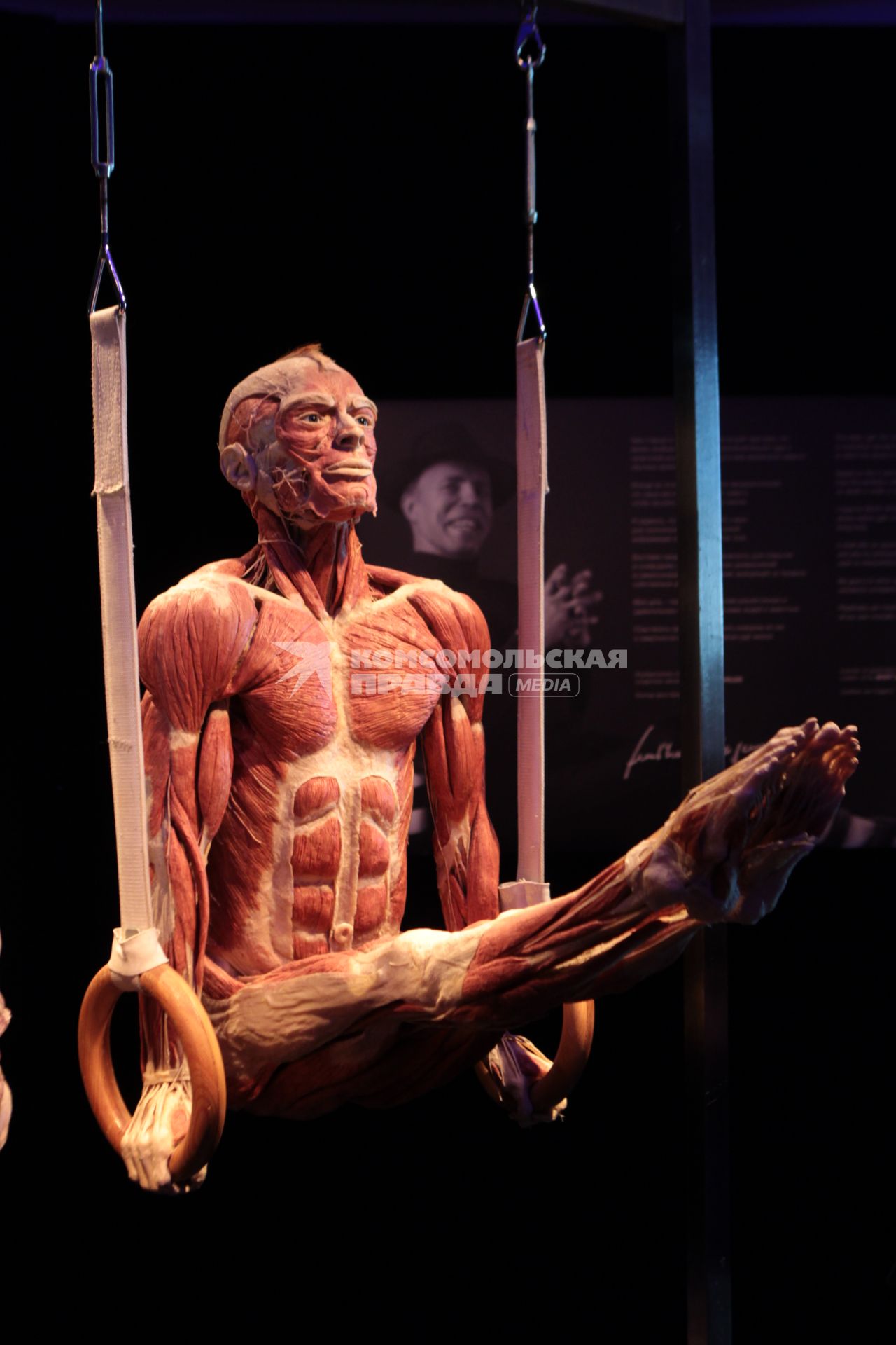 ВДНХ. Выставка BODY WORLDS. 2021