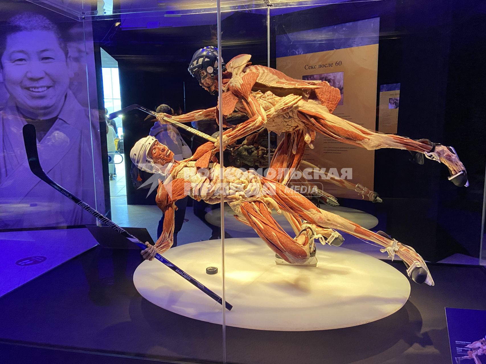 ВДНХ. Выставка BODY WORLDS. 2021