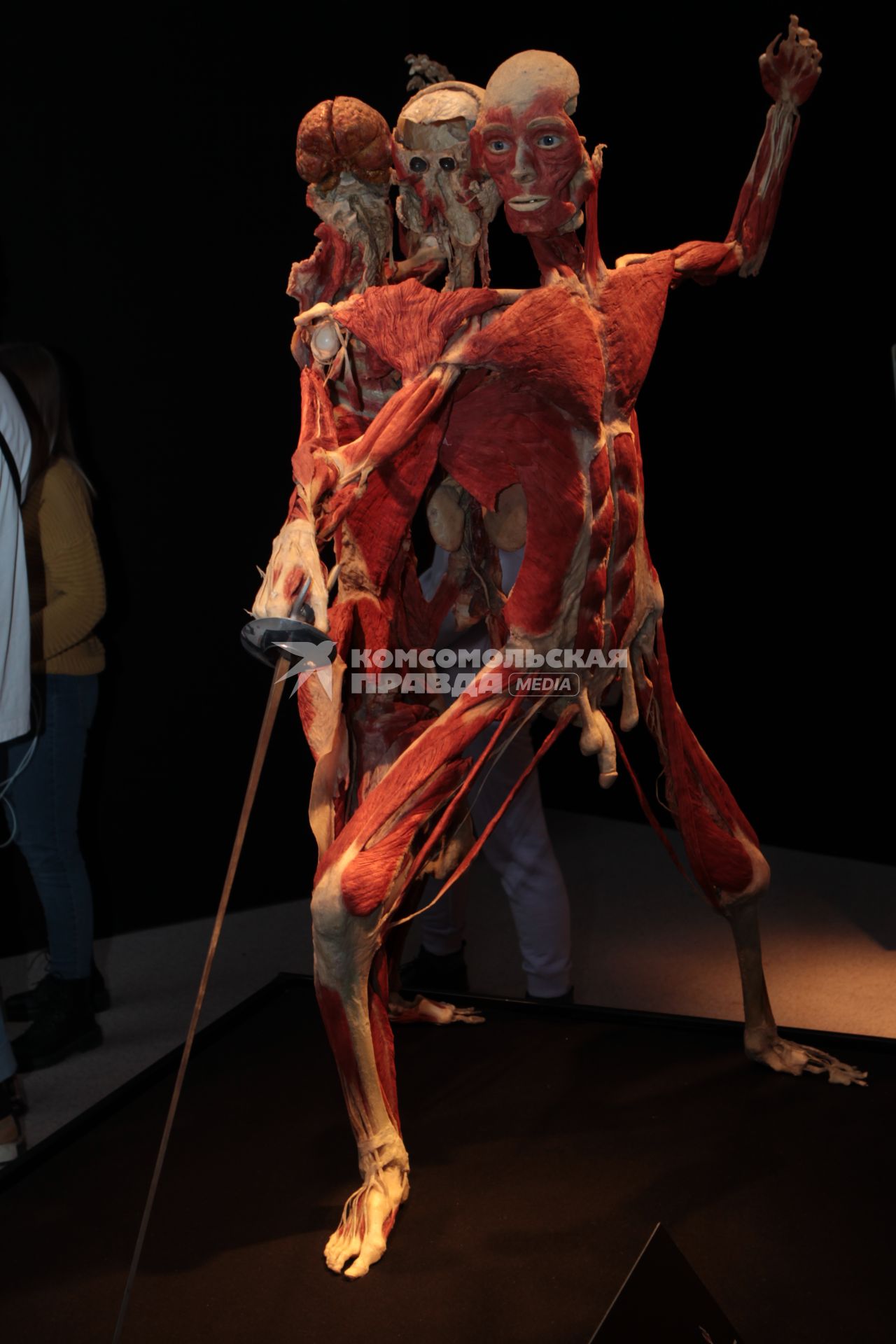 ВДНХ. Выставка BODY WORLDS. 2021