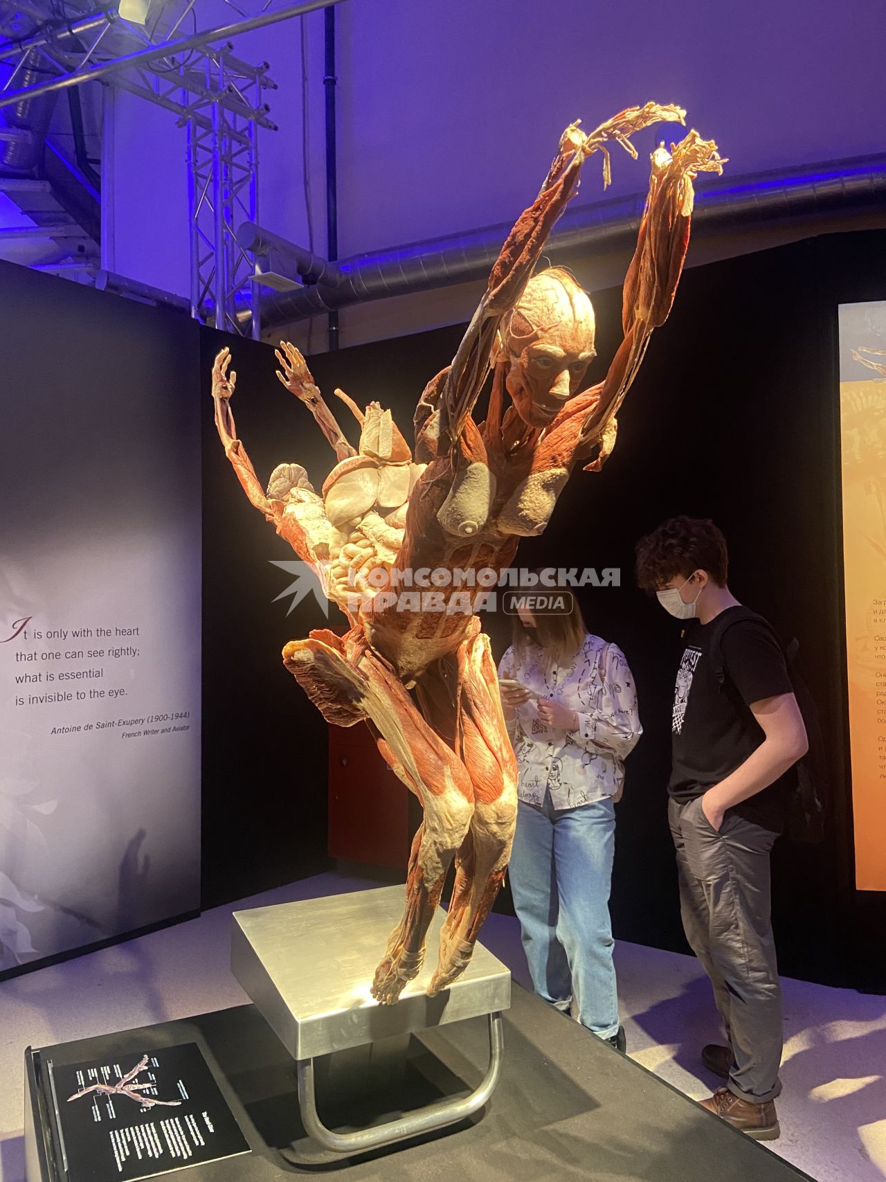 ВДНХ. Выставка BODY WORLDS. 2021