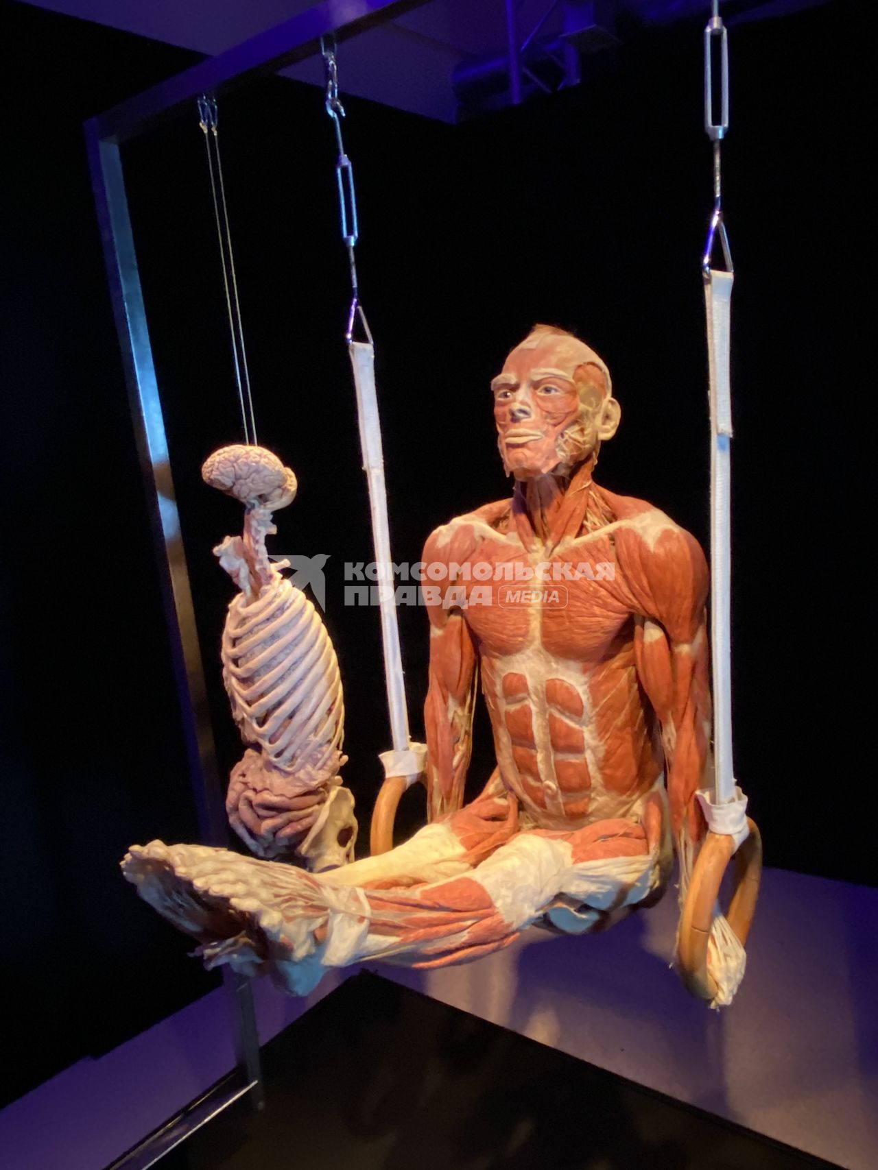 ВДНХ. Выставка BODY WORLDS. 2021