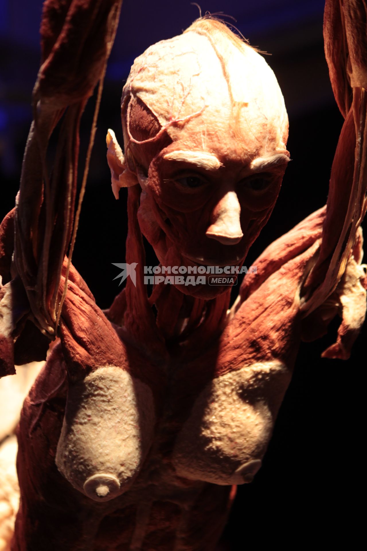 ВДНХ. Выставка BODY WORLDS. 2021