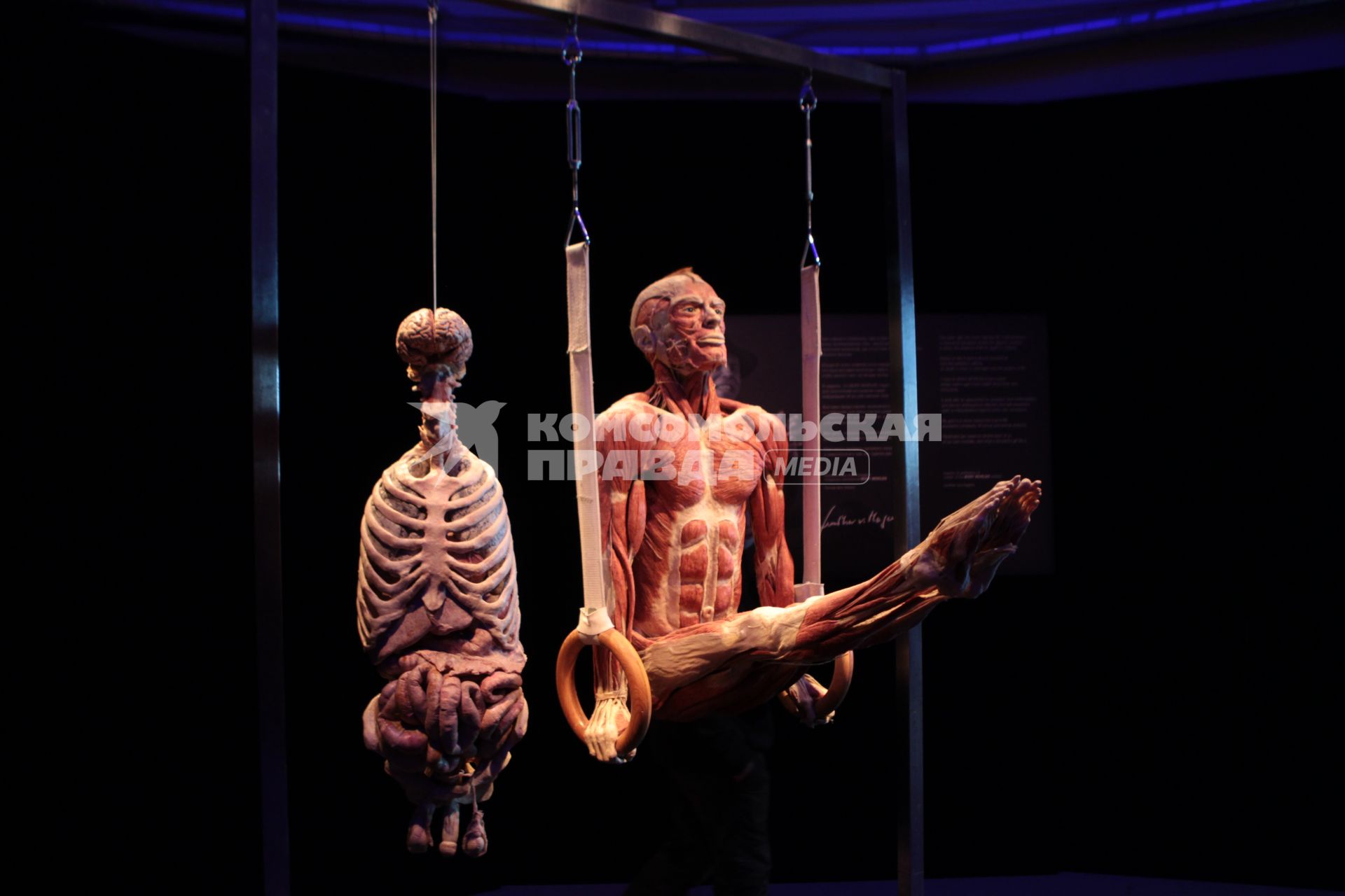 ВДНХ. Выставка BODY WORLDS. 2021