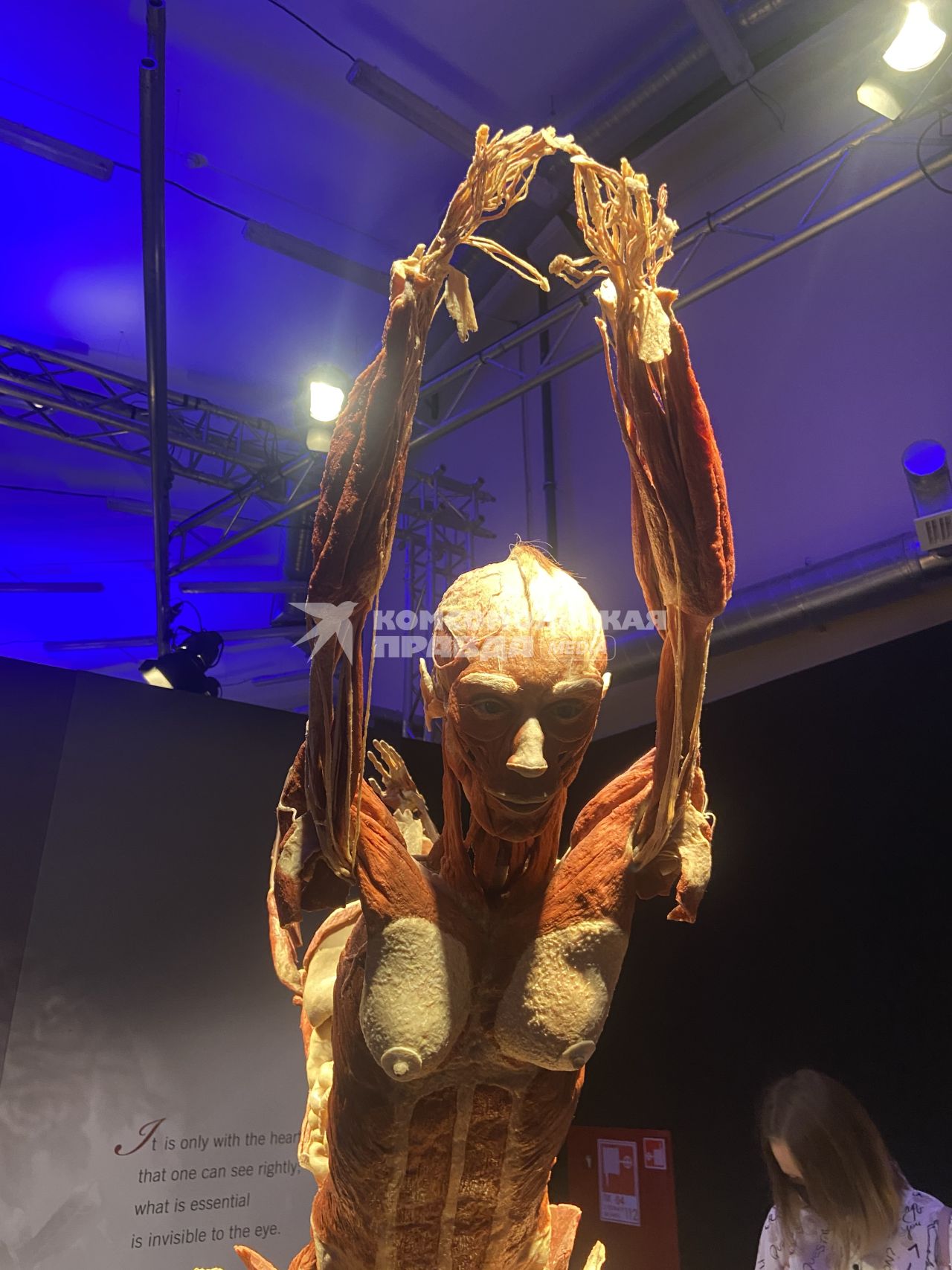 ВДНХ. Выставка BODY WORLDS. 2021