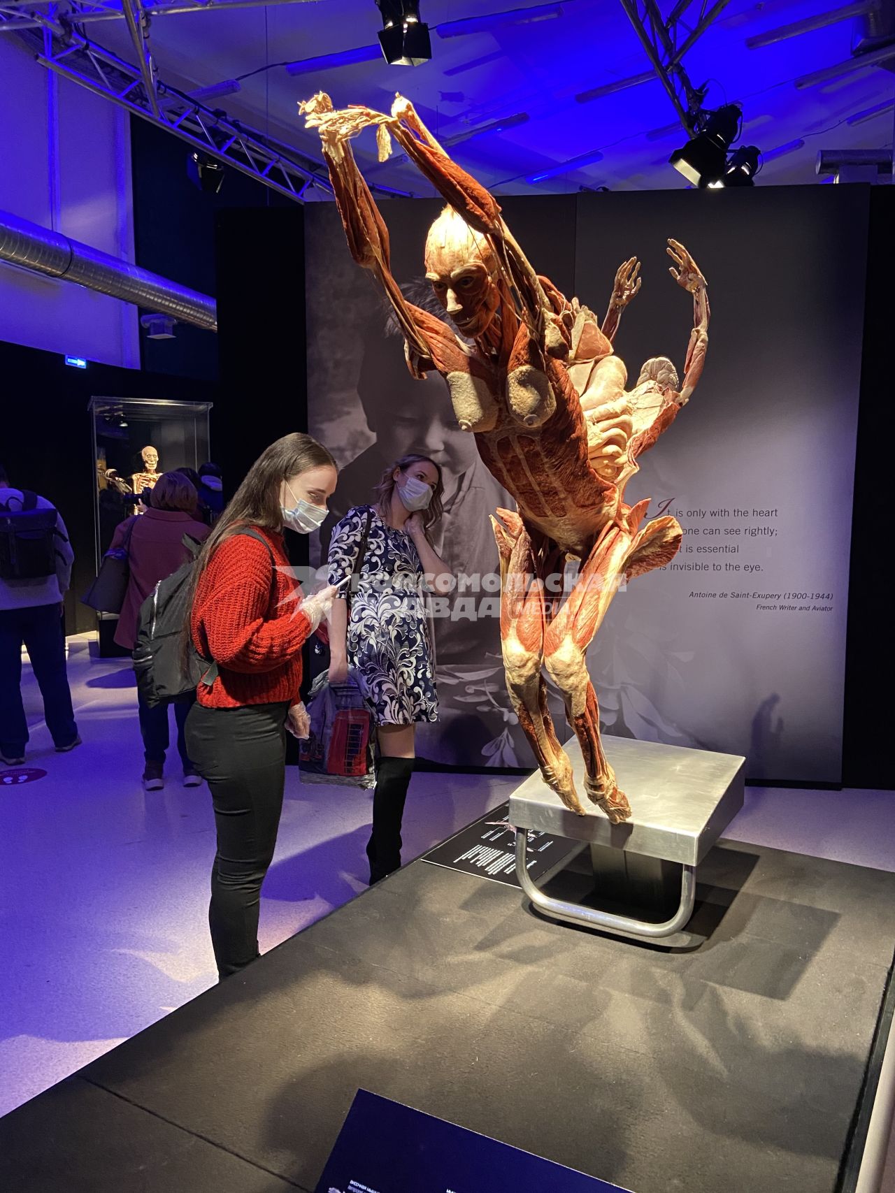 ВДНХ. Выставка BODY WORLDS. 2021