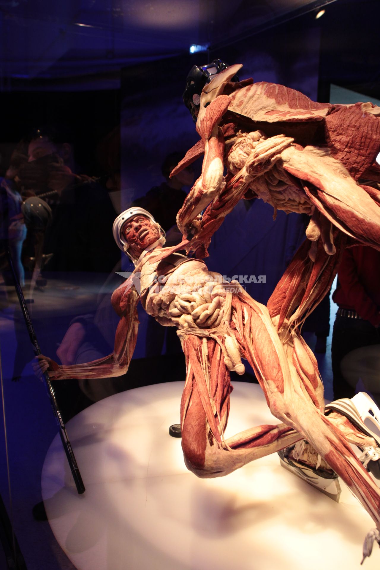 ВДНХ. Выставка BODY WORLDS. 2021