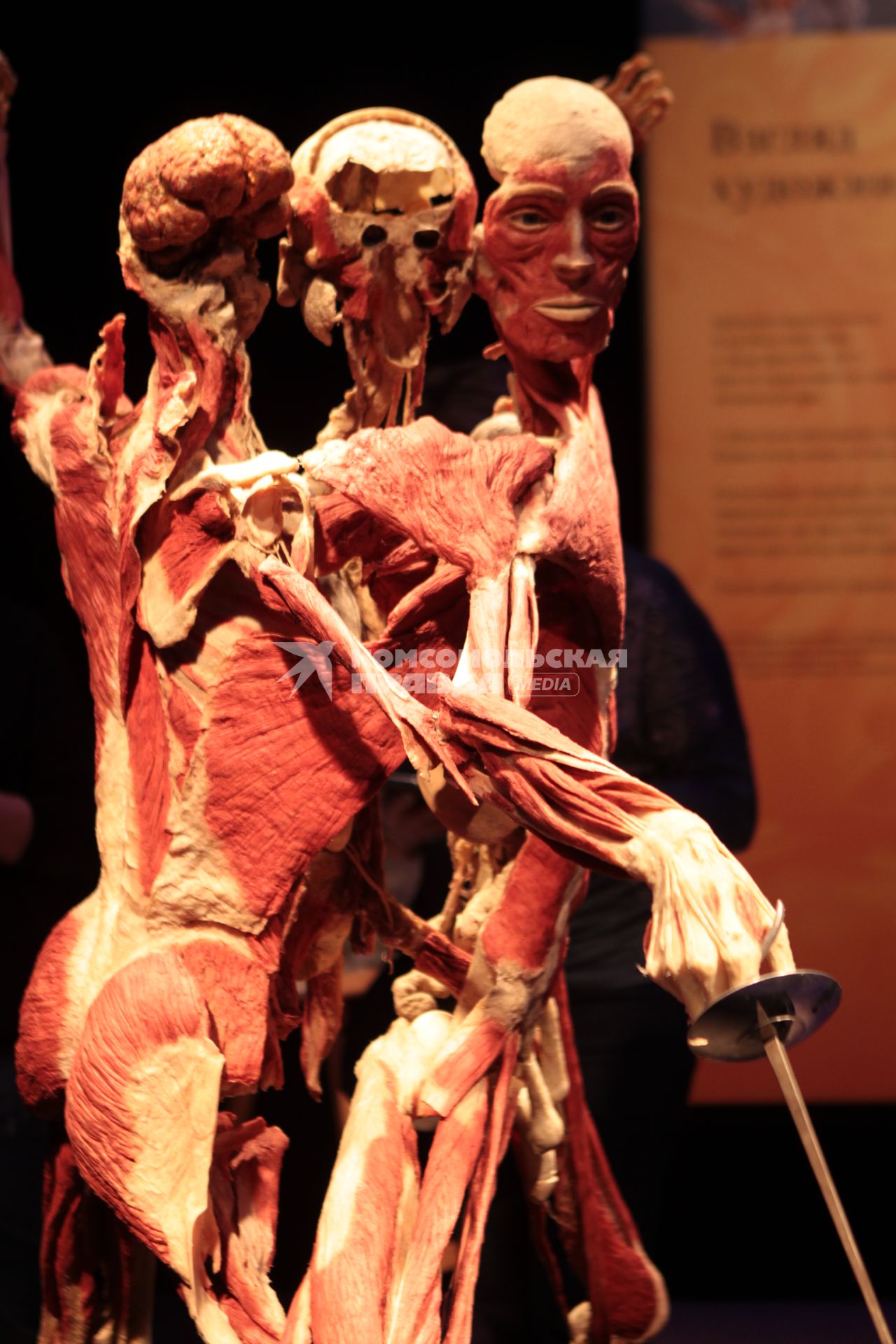 ВДНХ. Выставка BODY WORLDS. 2021