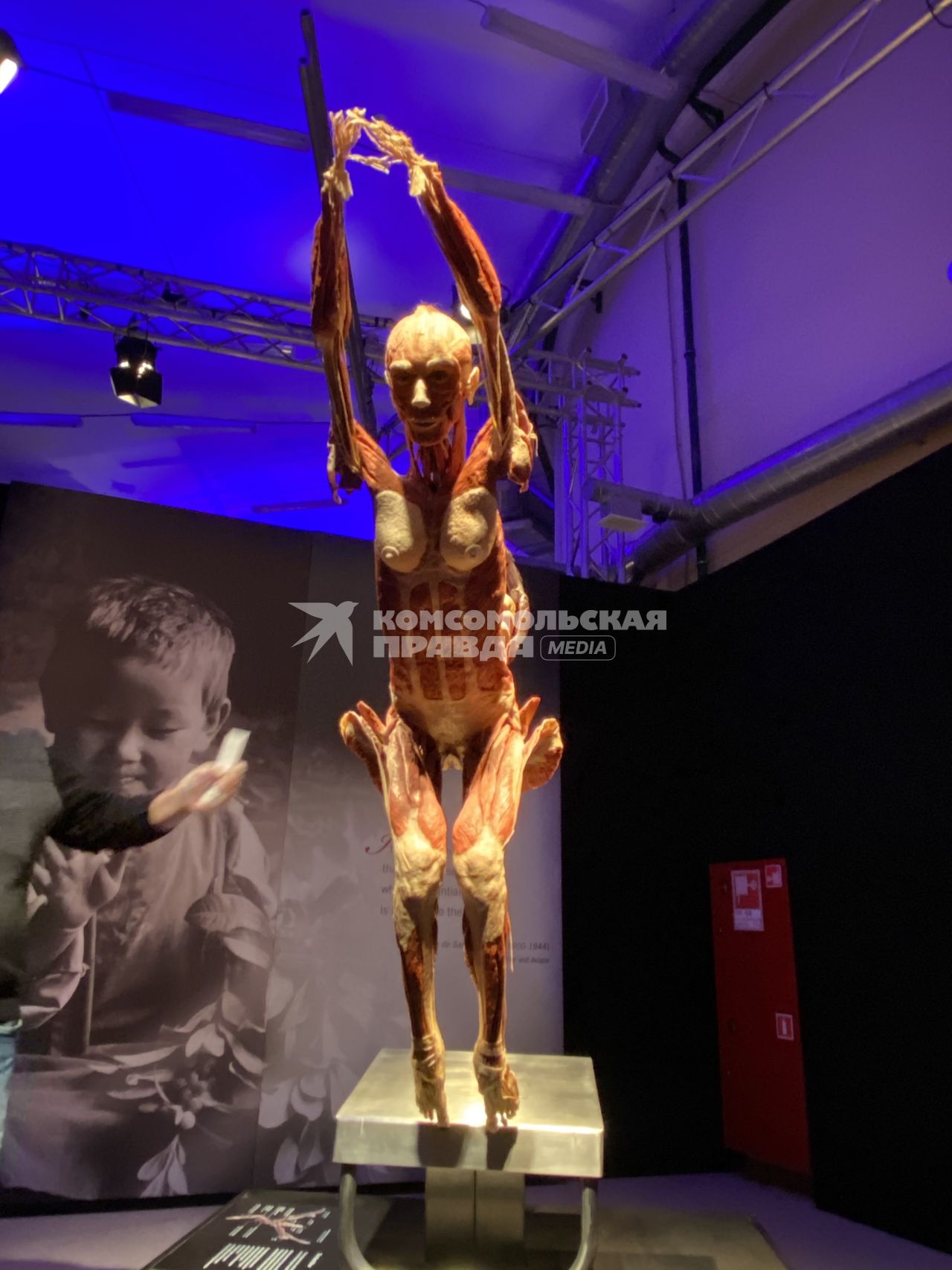 ВДНХ. Выставка BODY WORLDS. 2021