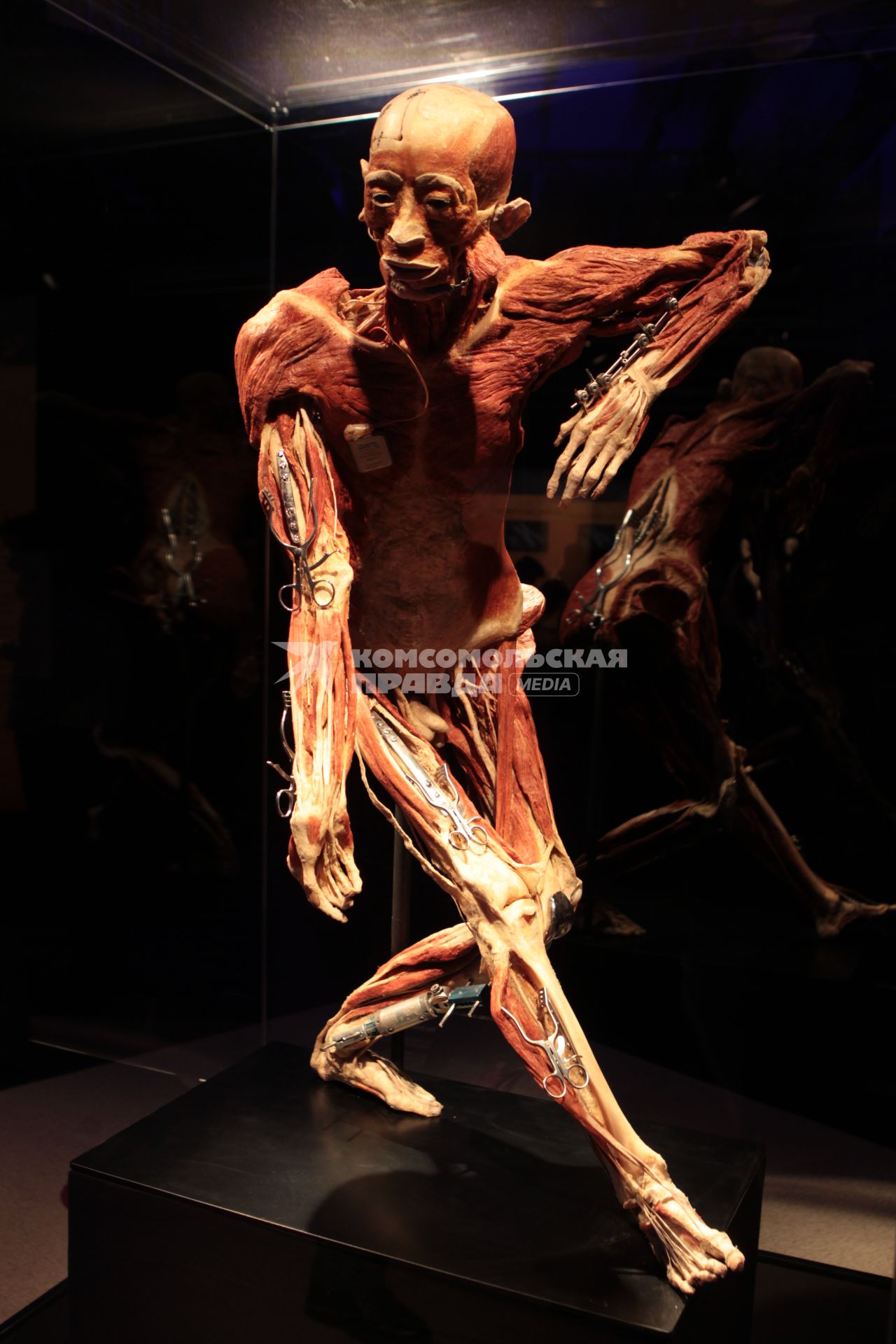 ВДНХ. Выставка BODY WORLDS. 2021