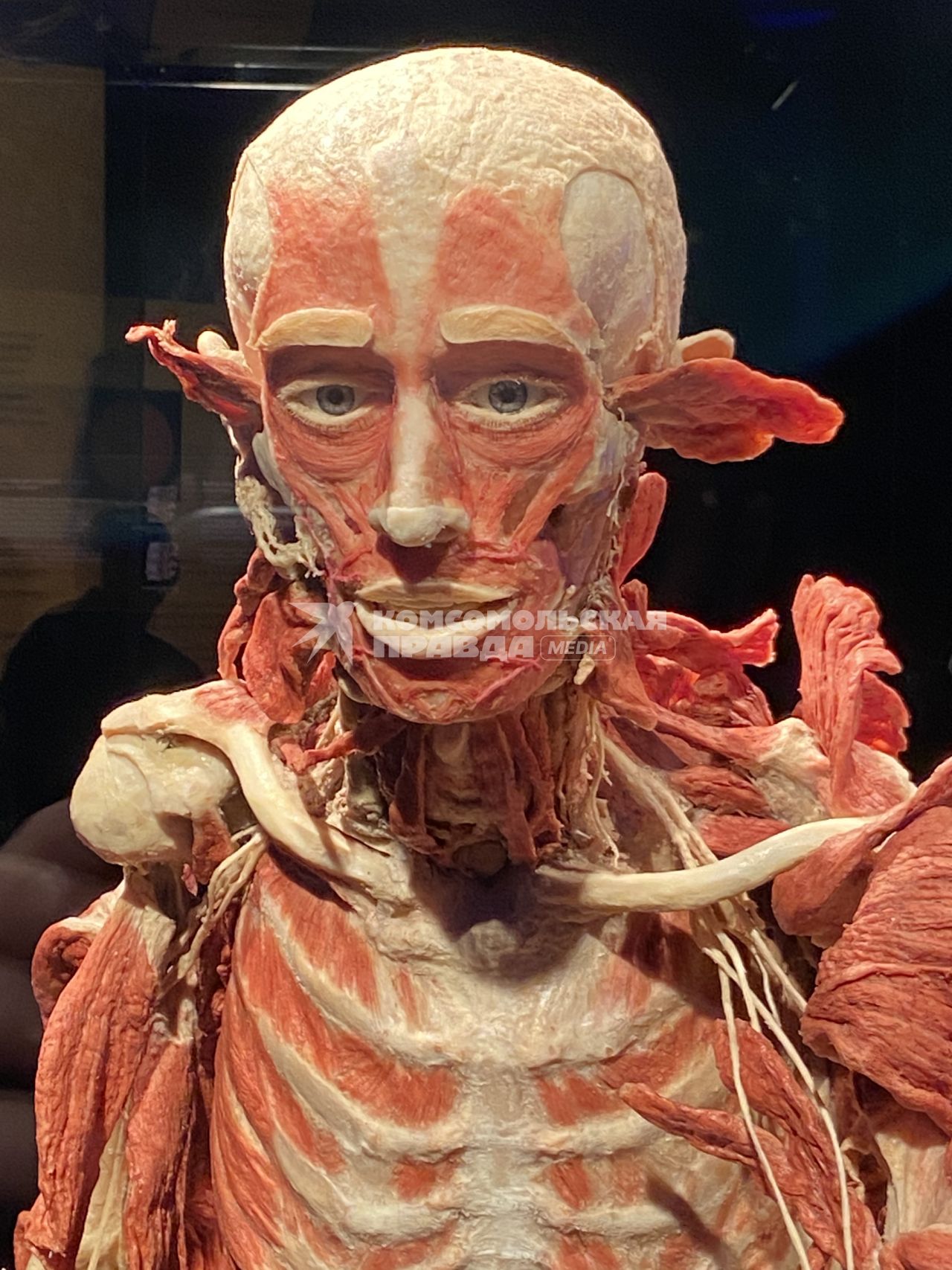 ВДНХ. Выставка BODY WORLDS. 2021