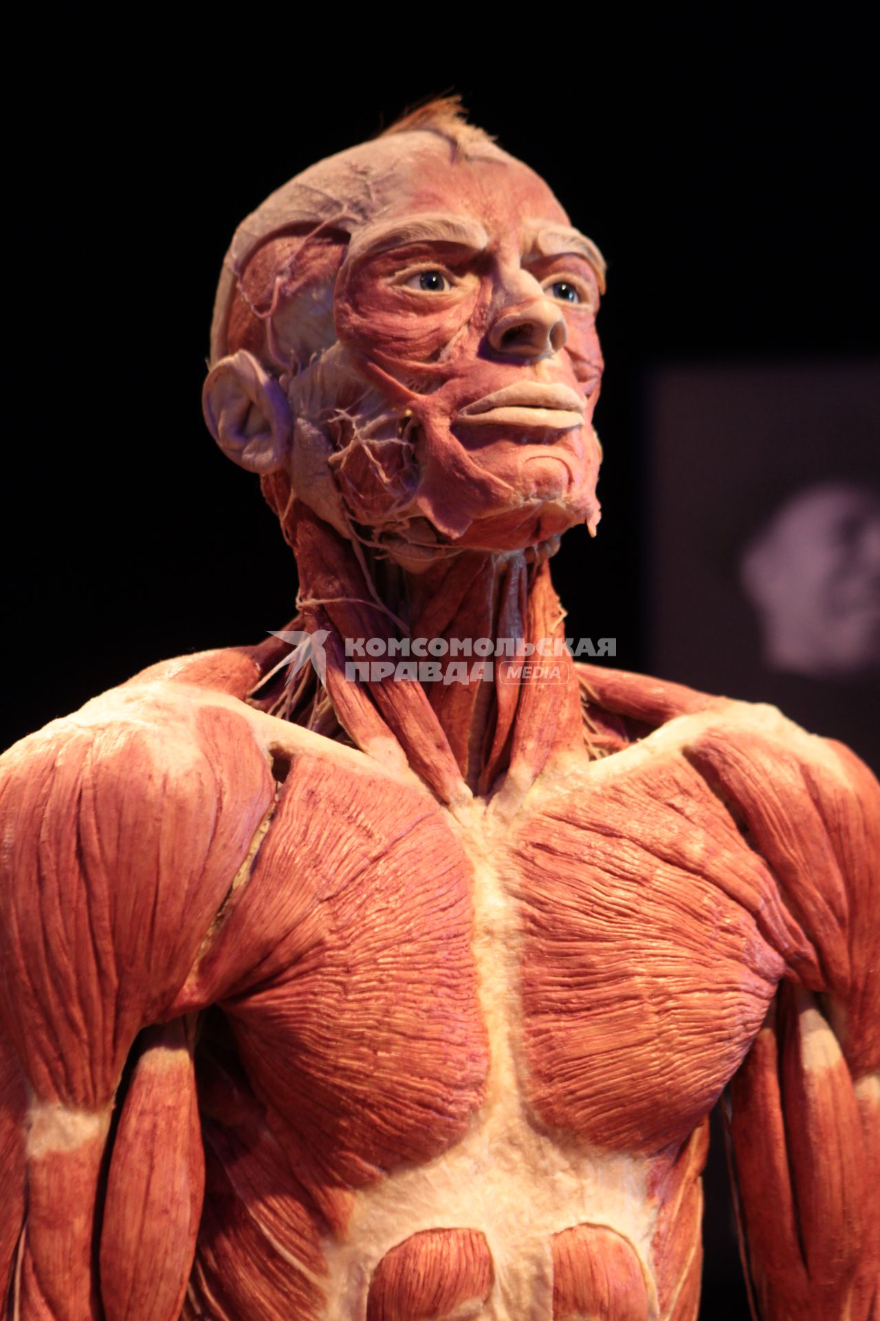 ВДНХ. Выставка BODY WORLDS. 2021