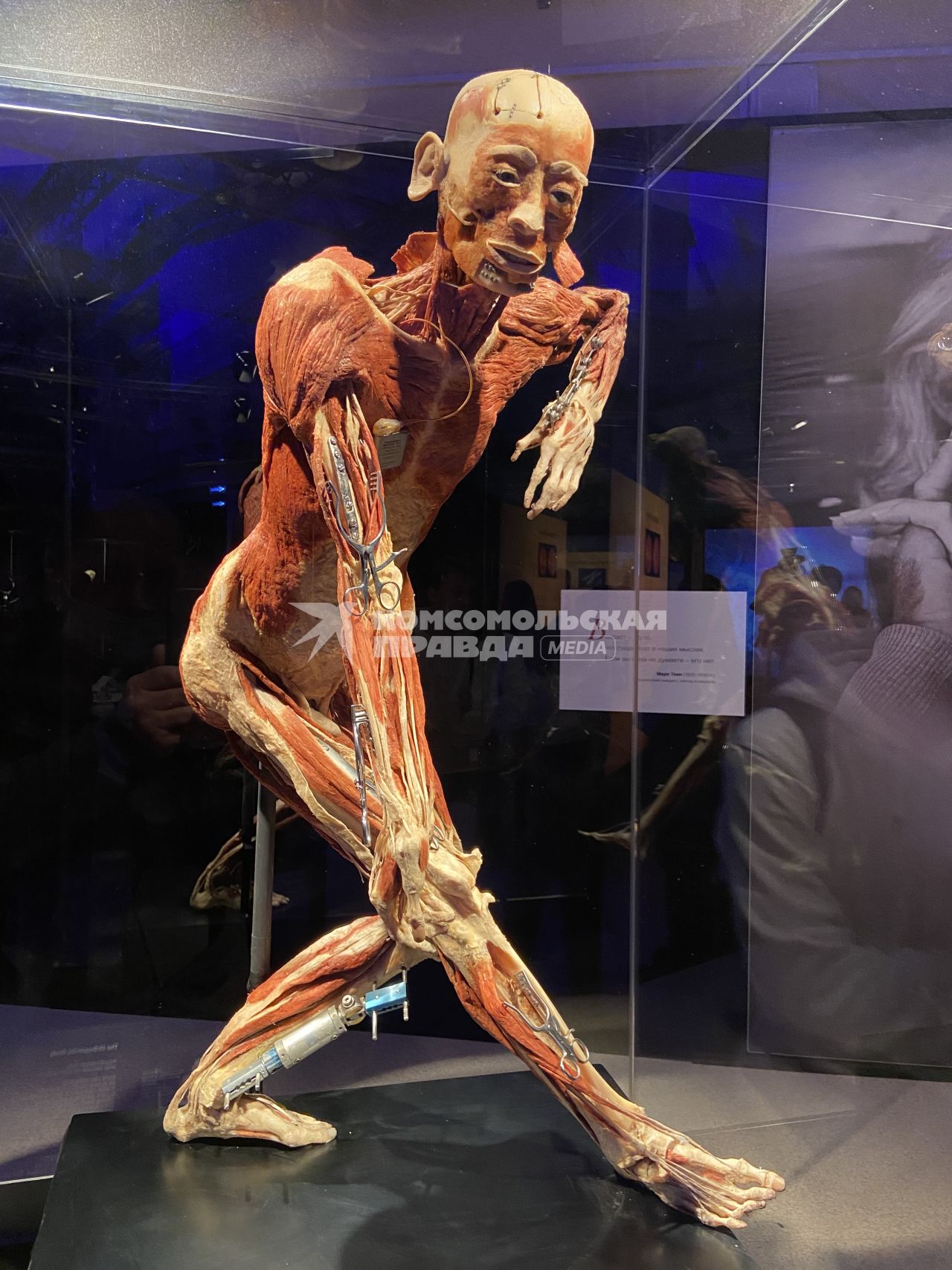 ВДНХ. Выставка BODY WORLDS. 2021