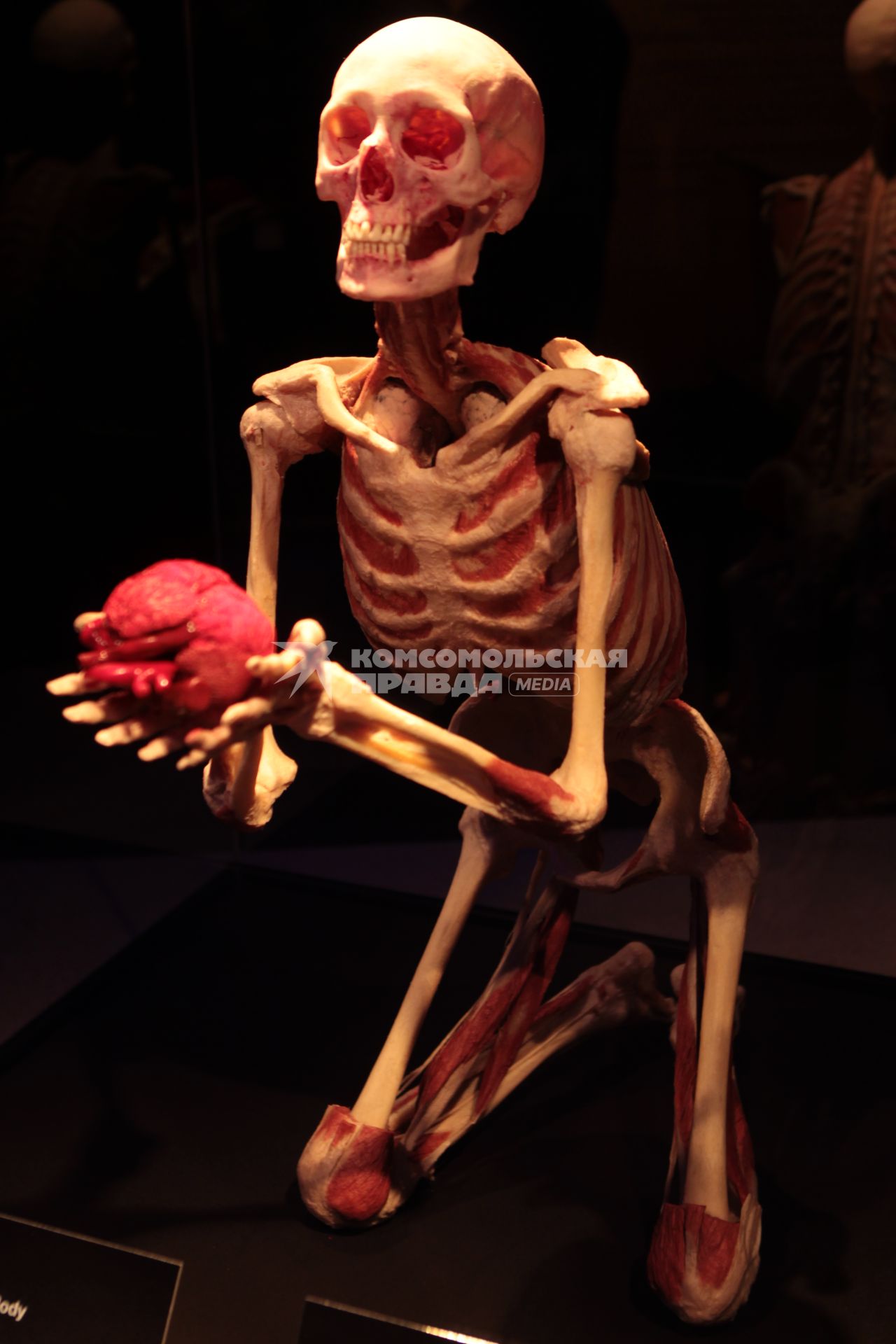 ВДНХ. Выставка BODY WORLDS. 2021