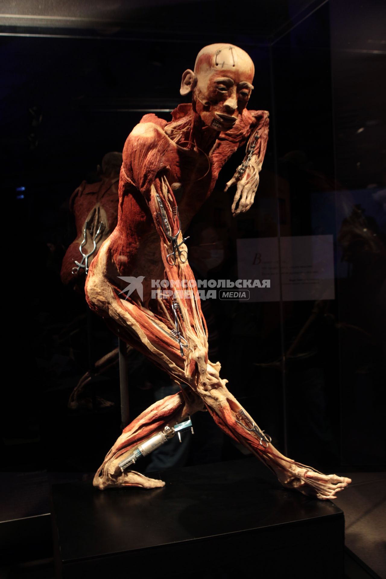 ВДНХ. Выставка BODY WORLDS. 2021