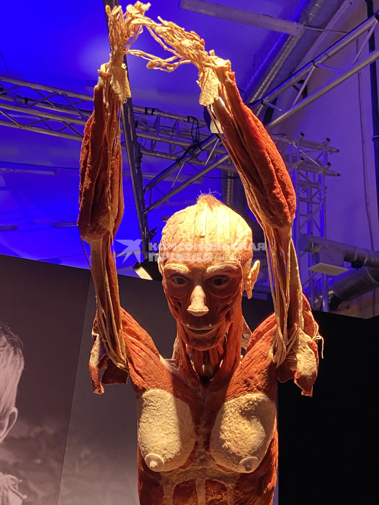 ВДНХ. Выставка BODY WORLDS. 2021